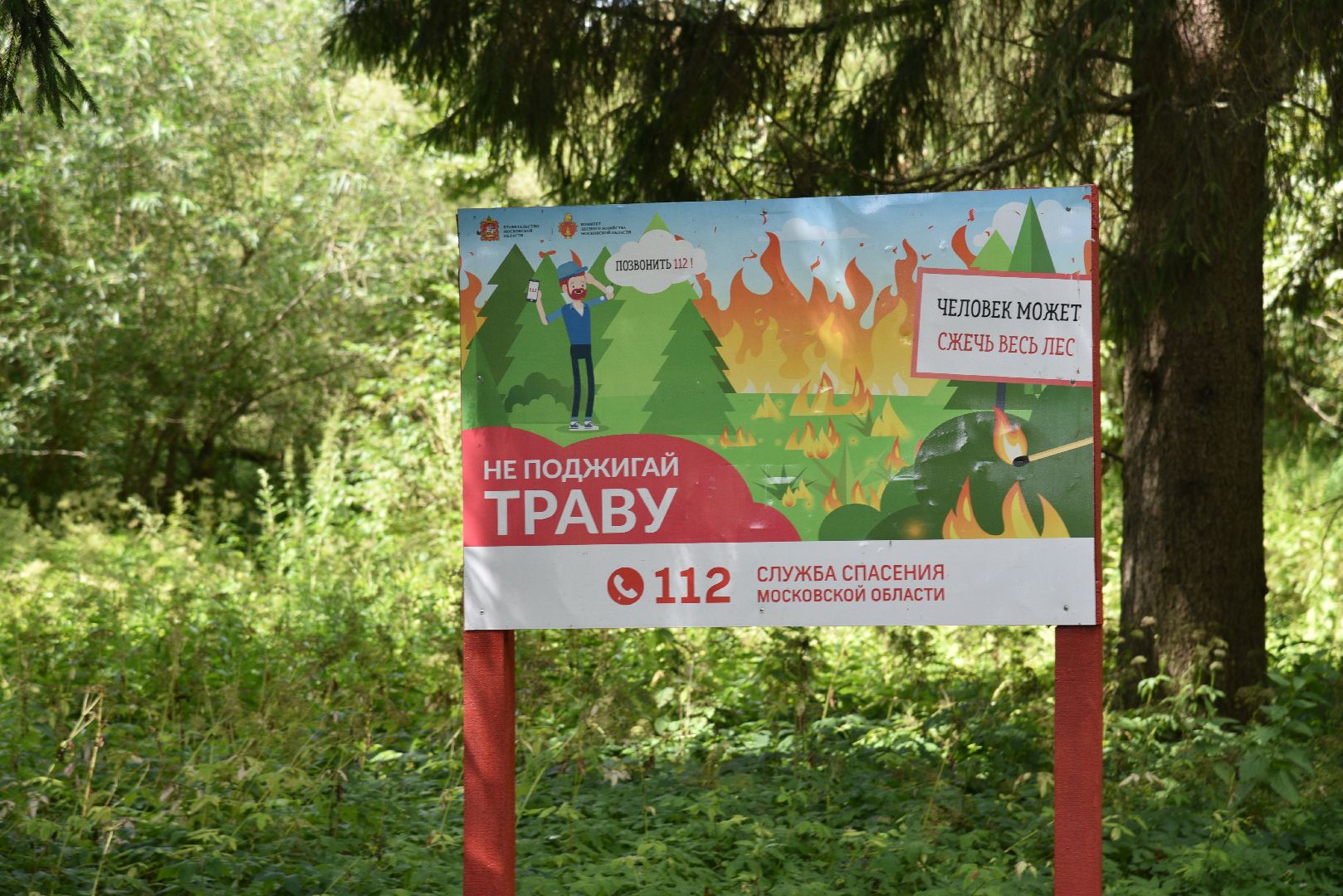 лотошино, чистый лес, экология, акция, экологическая акция, депутат мособлдумы,