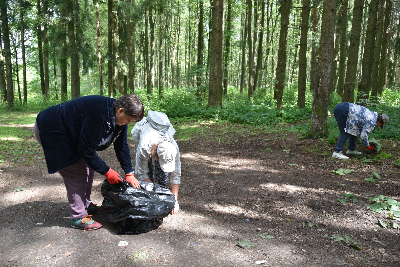 лотошино, чистый лес, экология, акция, экологическая акция, депутат мособлдумы,