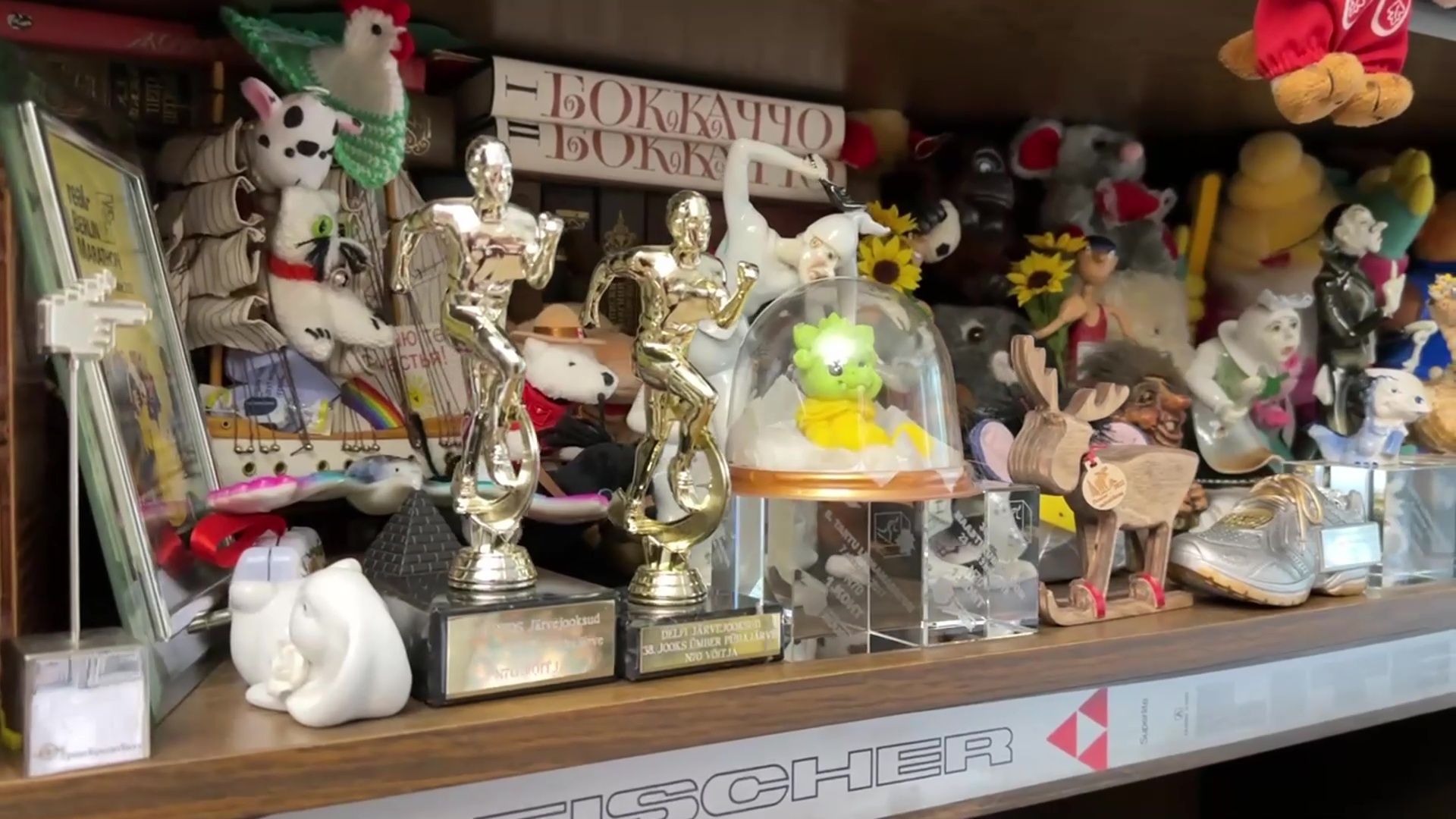 Реутов, спорт, юбилей, Людмила Колобанова,бег, лыжи, гонки, марафон,