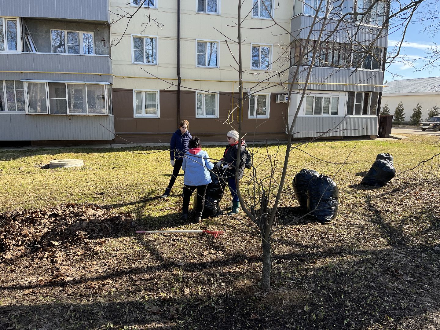 Шаховская, уборка, субботник