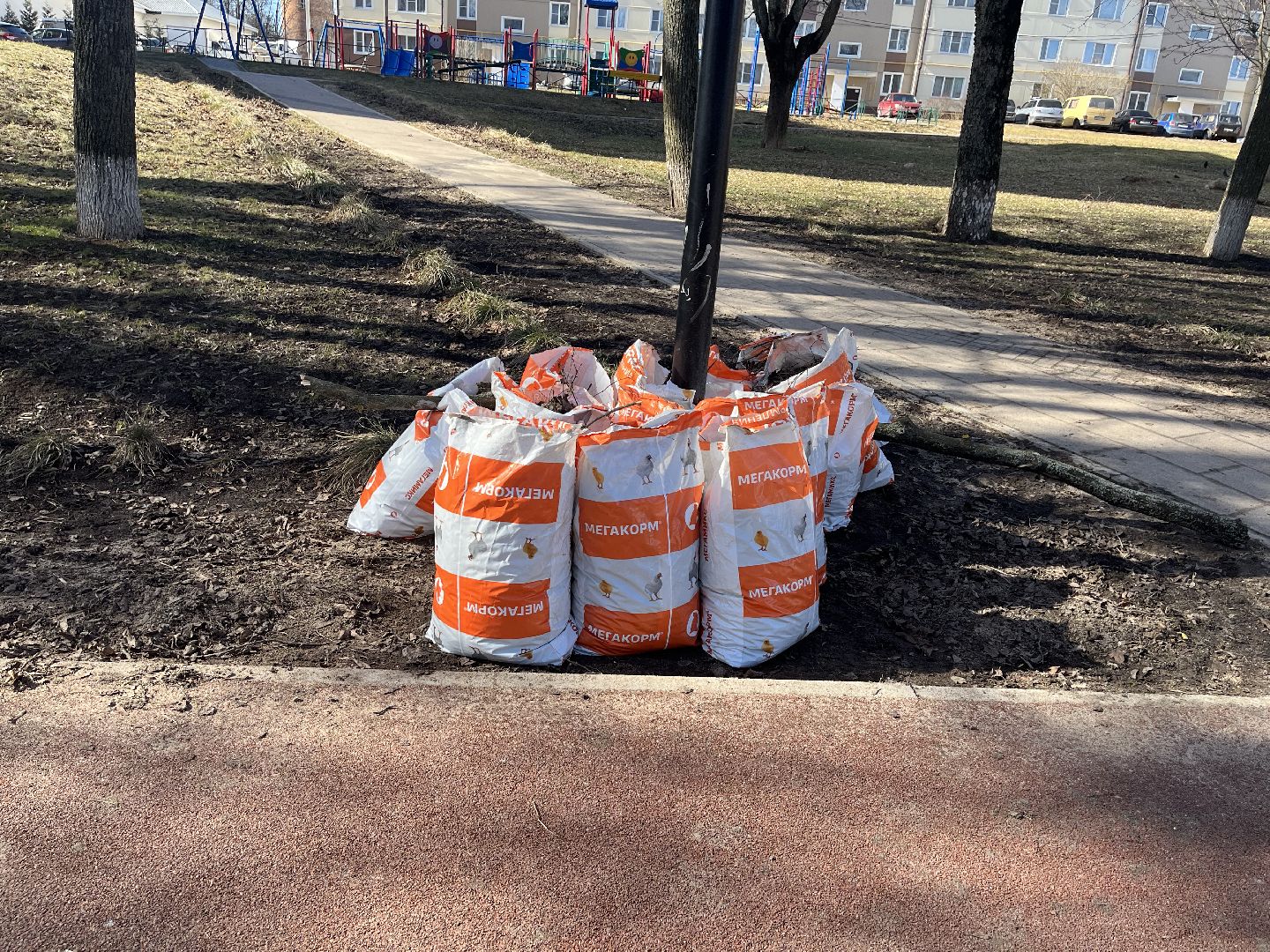 Шаховская, уборка, субботник