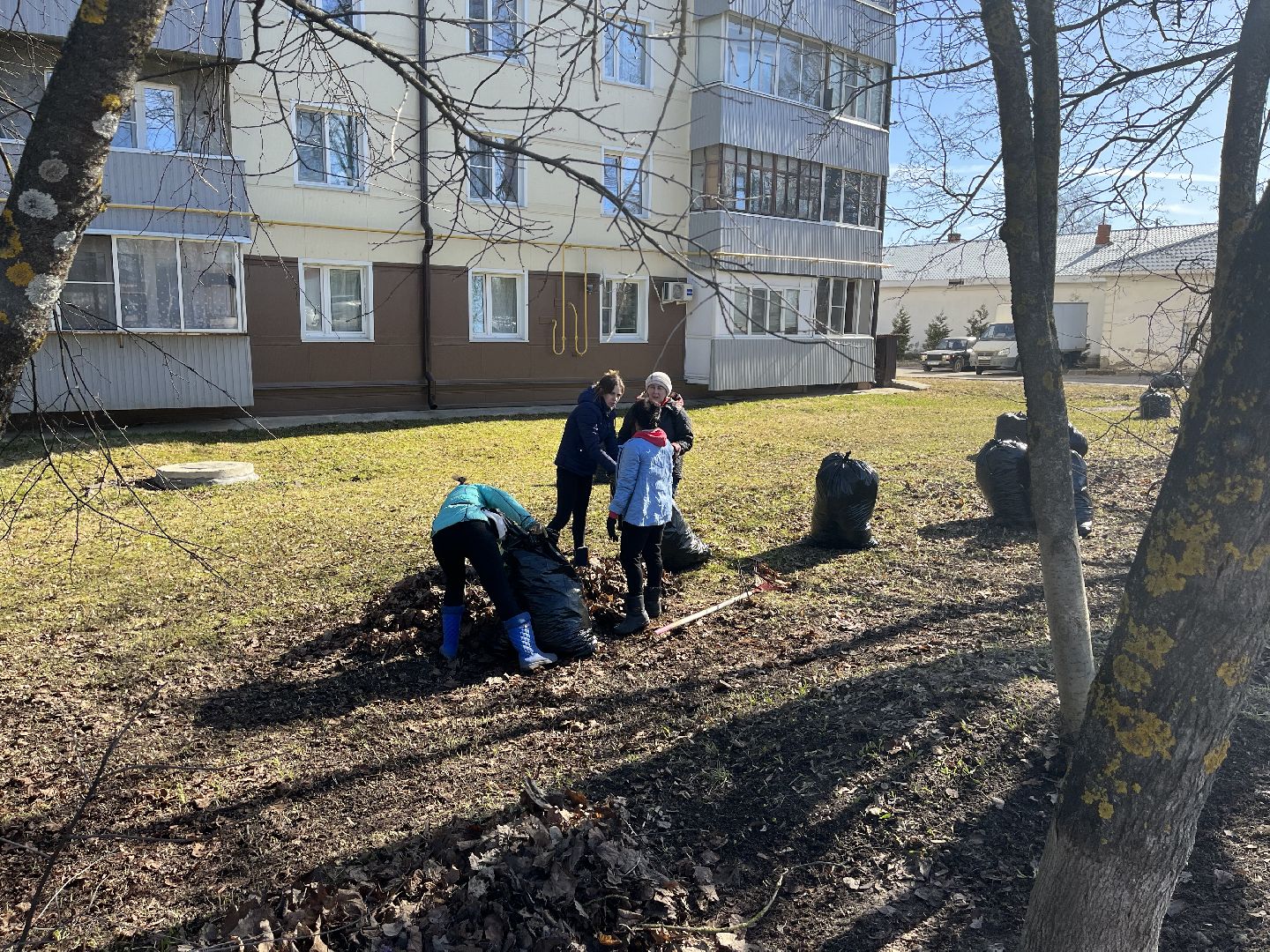 Шаховская, уборка, субботник