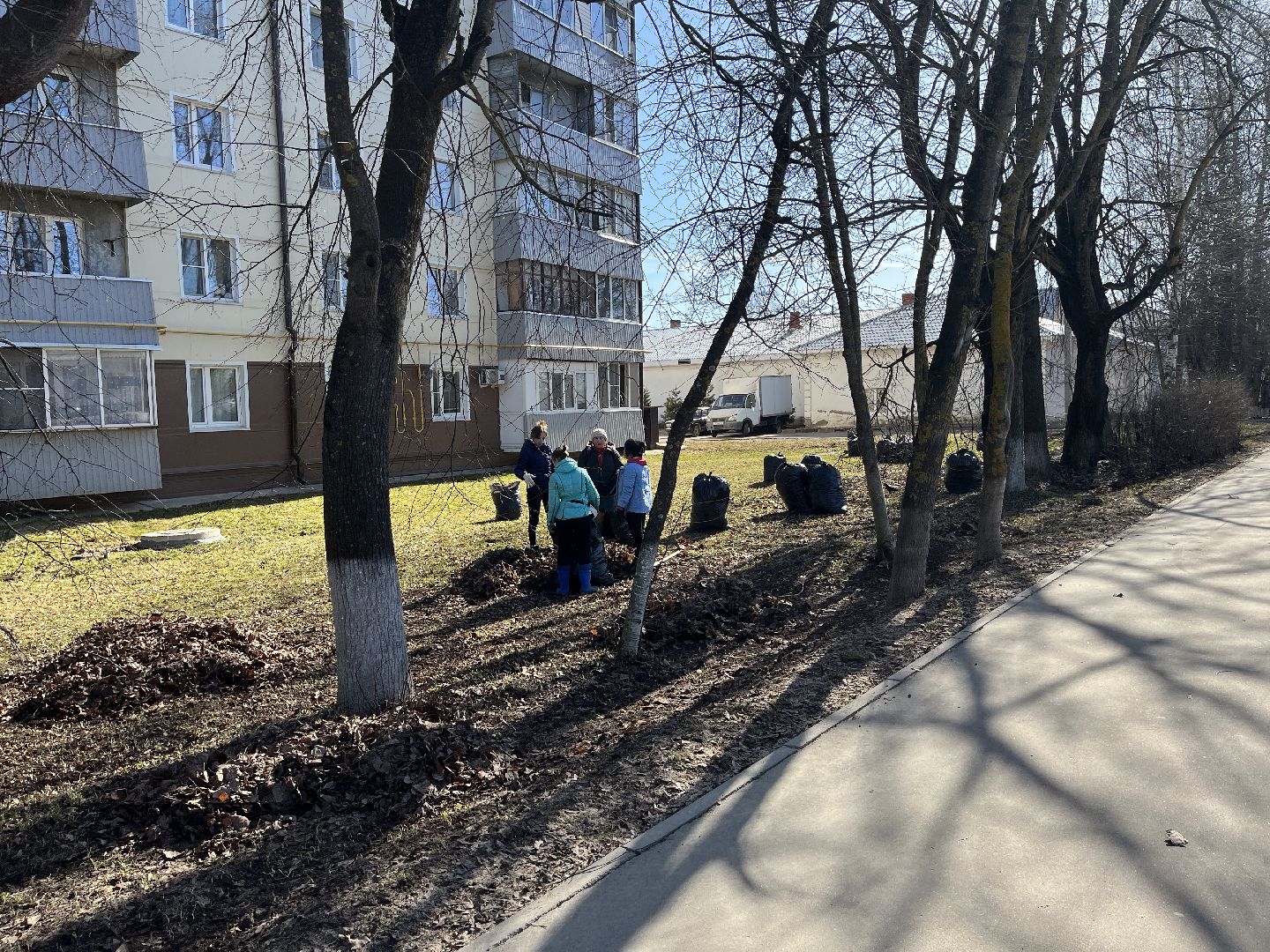 Шаховская, уборка, субботник