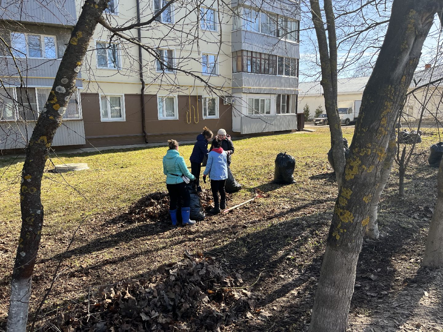 Шаховская, уборка, субботник