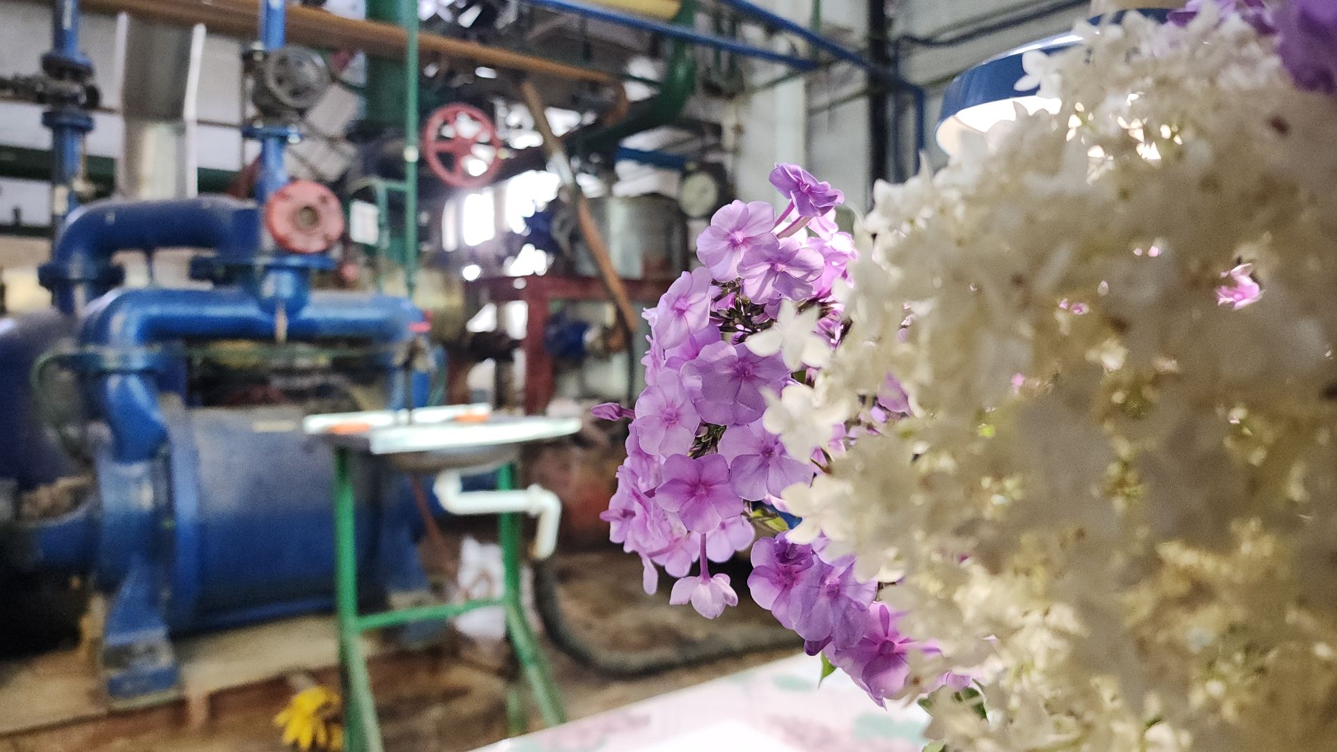 электросталь, жкх, жкх подмосковья, котельная, котельная восточная, госдума, депутат, депутат госдумы, глава городского округа,