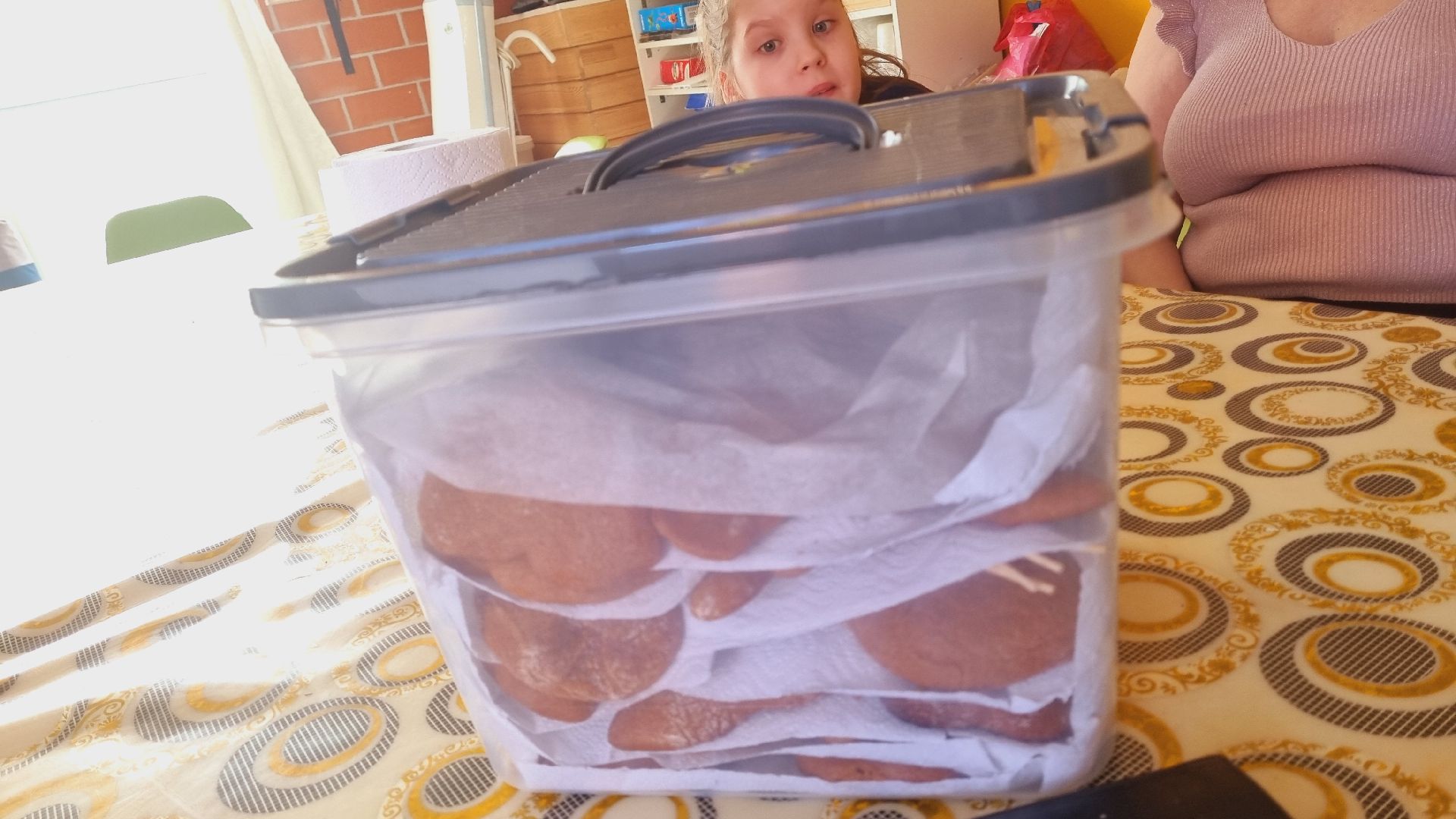 Подмосковье, Ивантеевка, дети