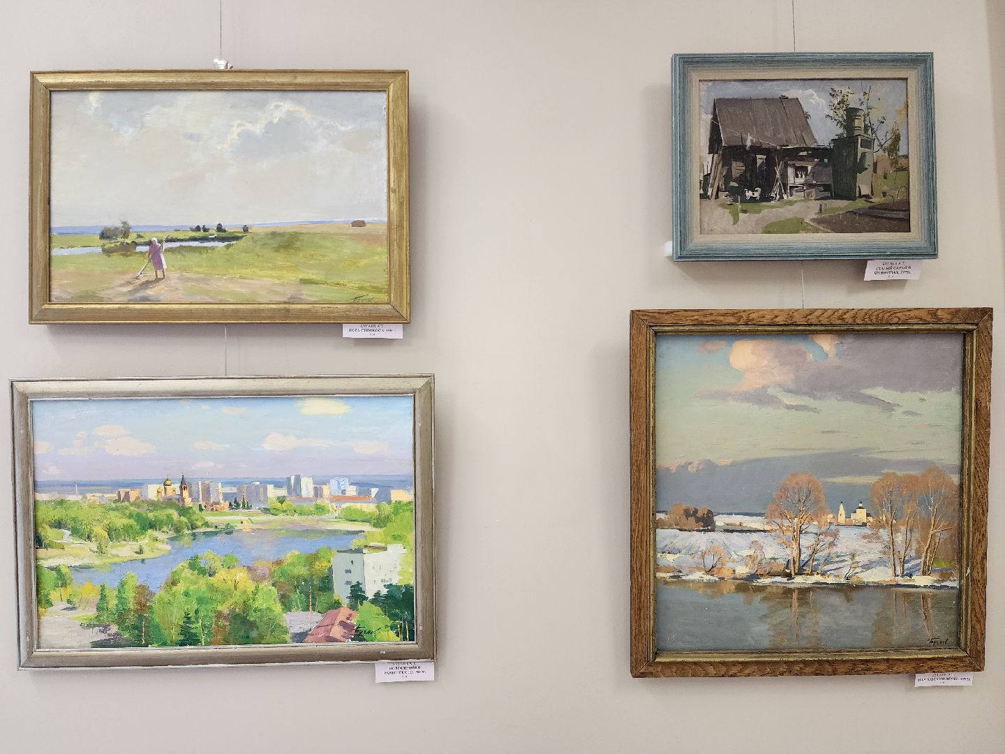 раменское, культура, раменский историко-художественный музей, выставка картин Александра Бугаева,