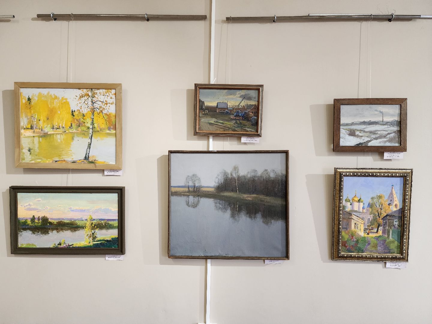 раменское, культура, раменский историко-художественный музей, выставка картин Александра Бугаева,