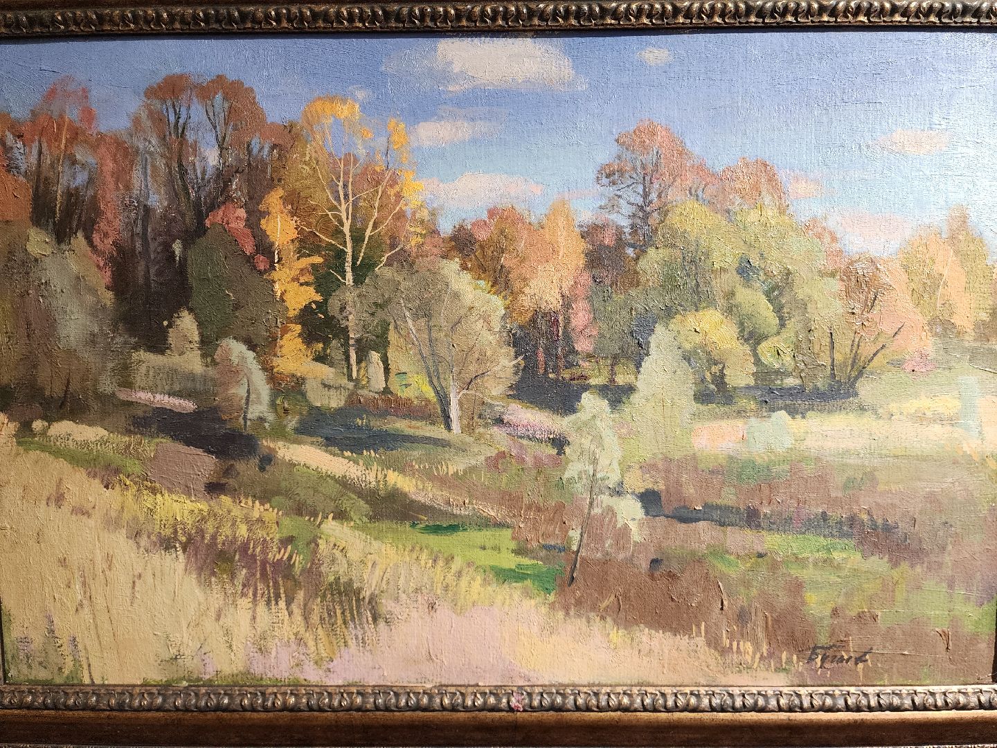 раменское, культура, раменский историко-художественный музей, выставка картин Александра Бугаева,