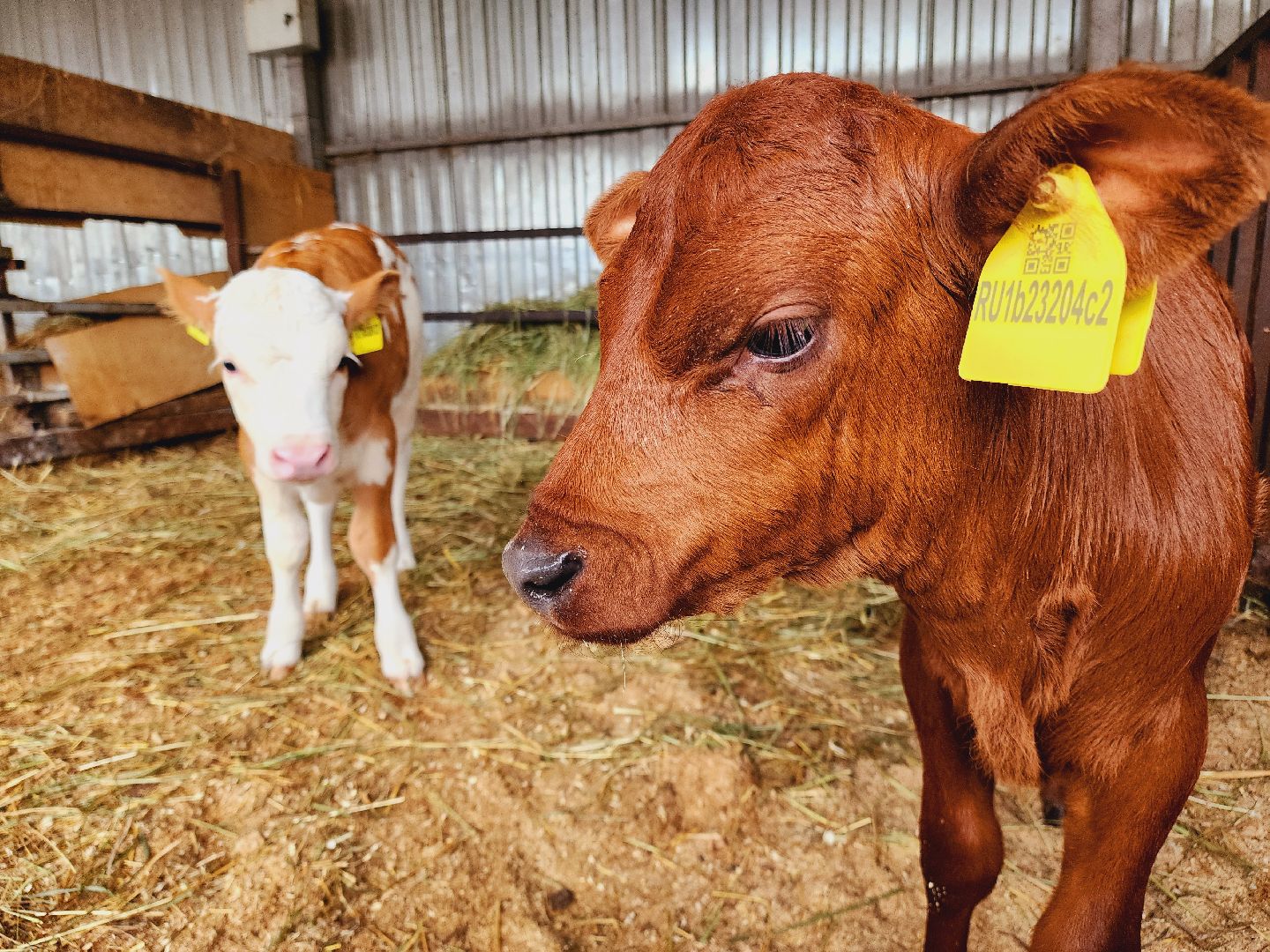 Подольск, Наука, Криобанк, Сохранение пород животных, виж им эрнста,