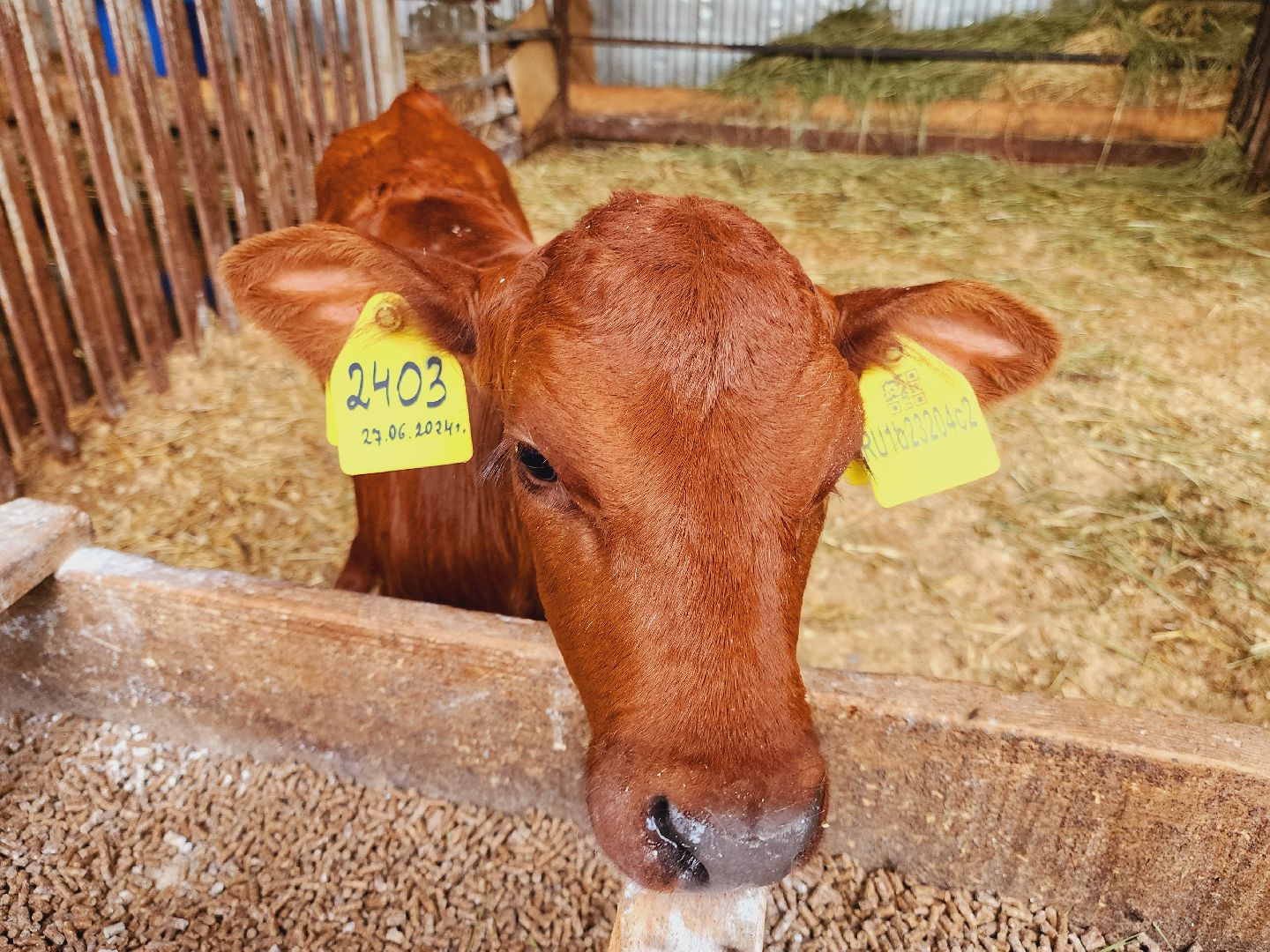 Подольск, Наука, Криобанк, Сохранение пород животных, виж им эрнста,