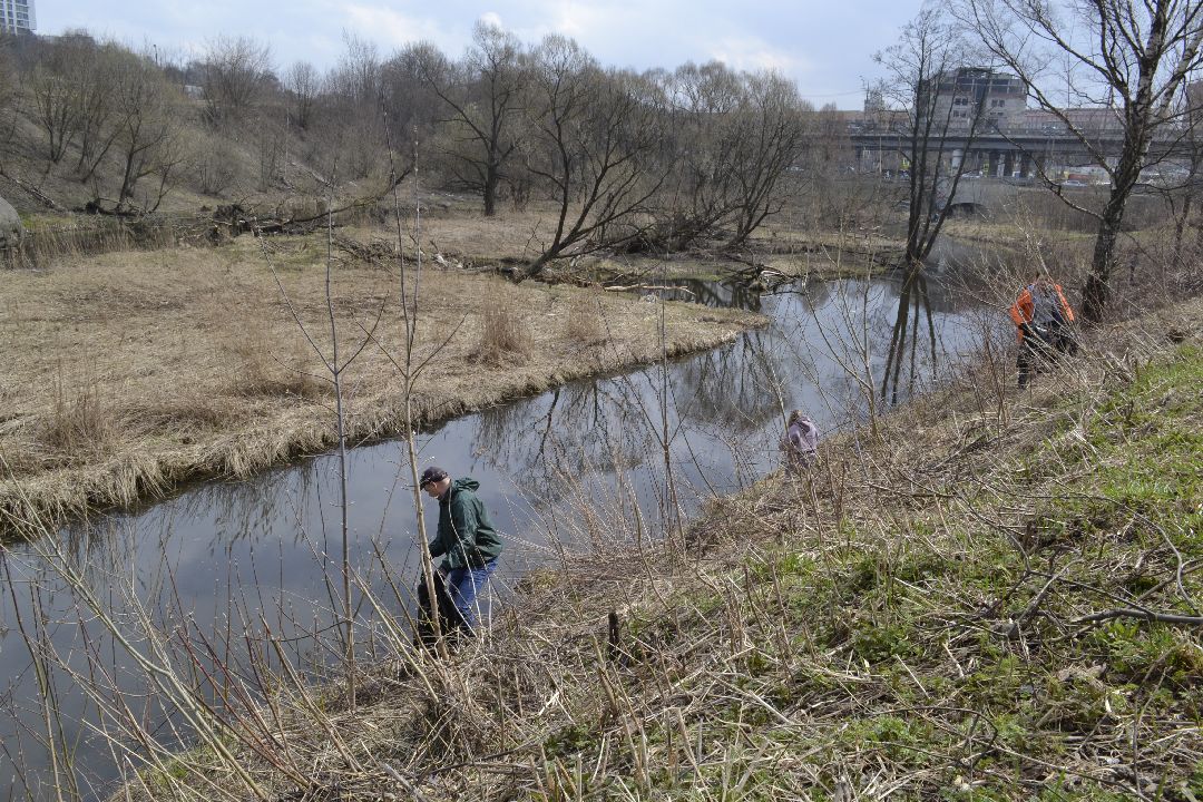 Балашиха, общество