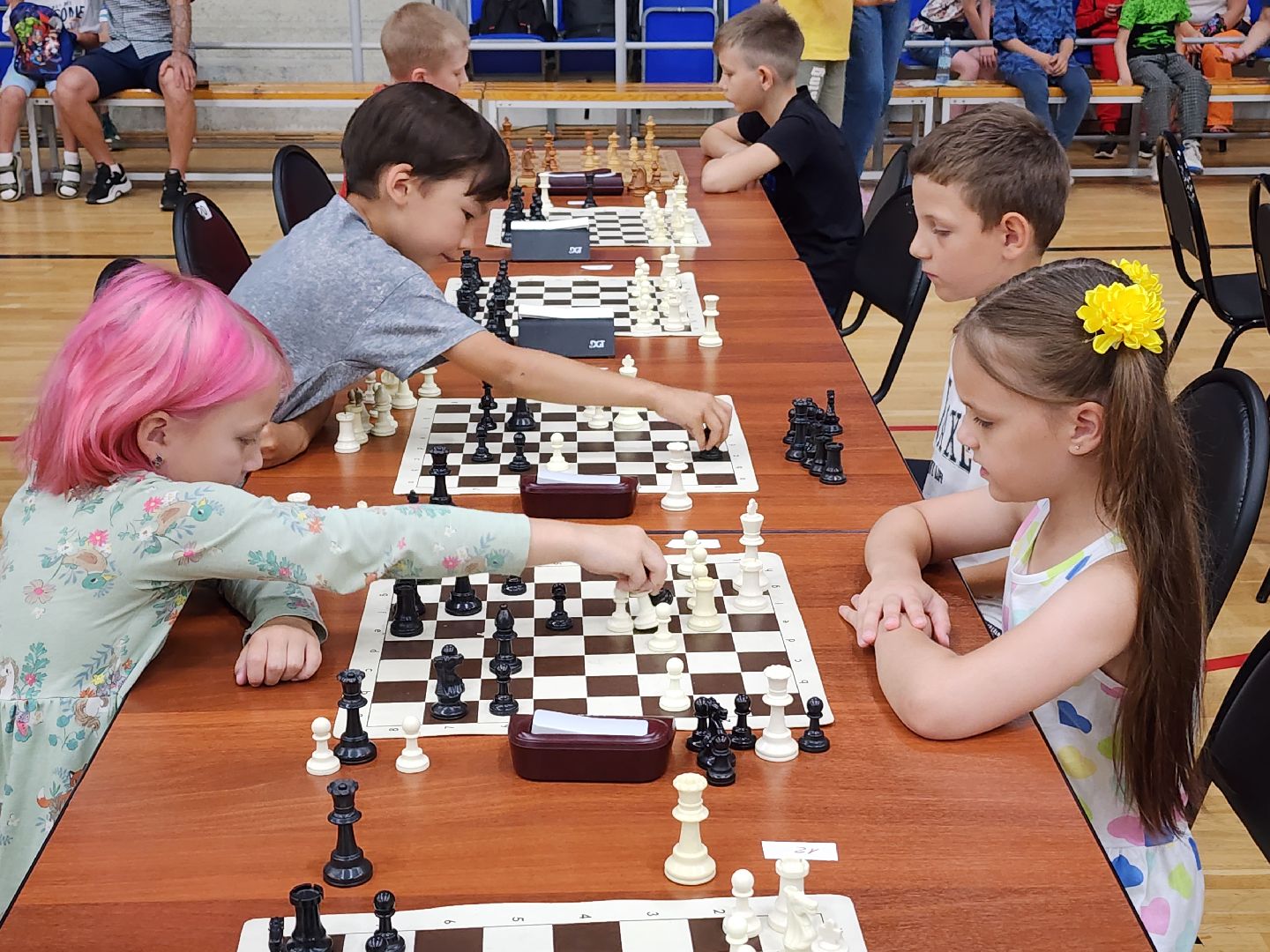 волоколамск, День шахмат, шахматы, турнир,