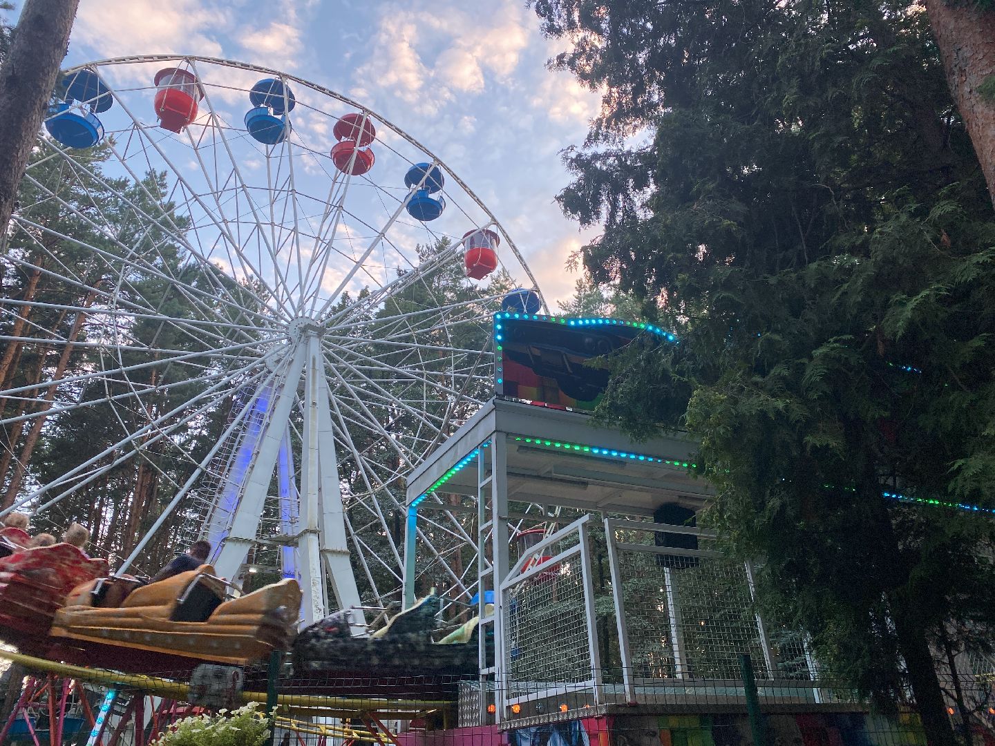 домодедово, Подмосковье, Ночь в парке, культура для школьников, Общество, парки домодедово, Парк Елочки, парки подмосковья,