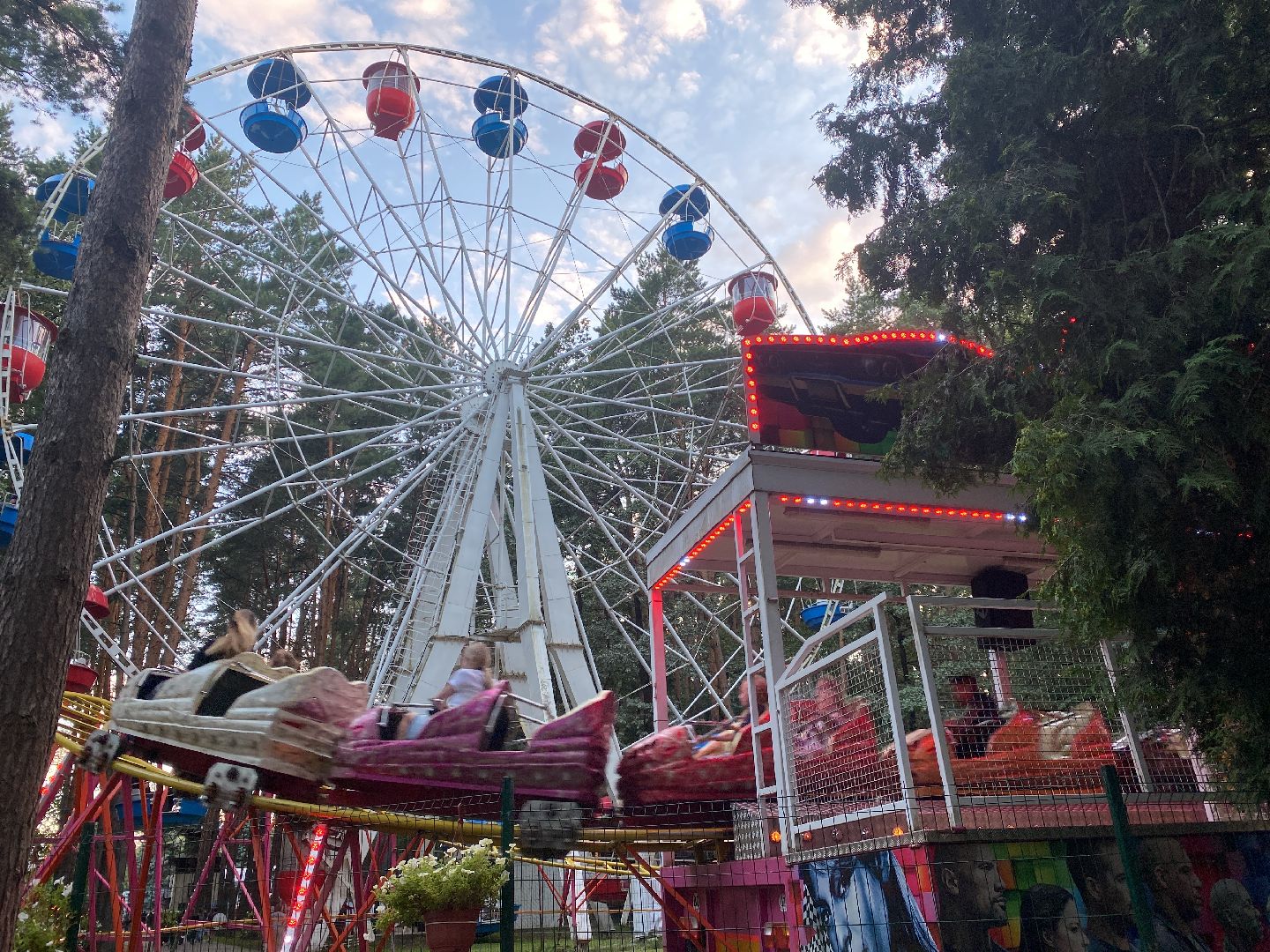 домодедово, Подмосковье, Ночь в парке, культура для школьников, Общество, парки домодедово, Парк Елочки, парки подмосковья,