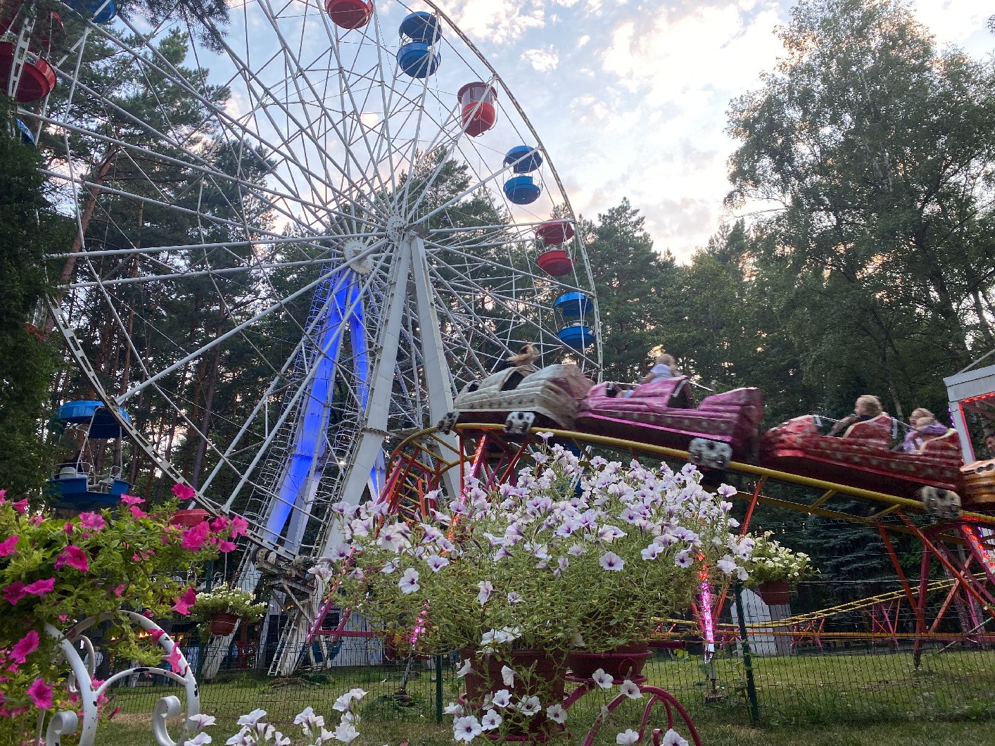 домодедово, Подмосковье, Ночь в парке, культура для школьников, Общество, парки домодедово, Парк Елочки, парки подмосковья,
