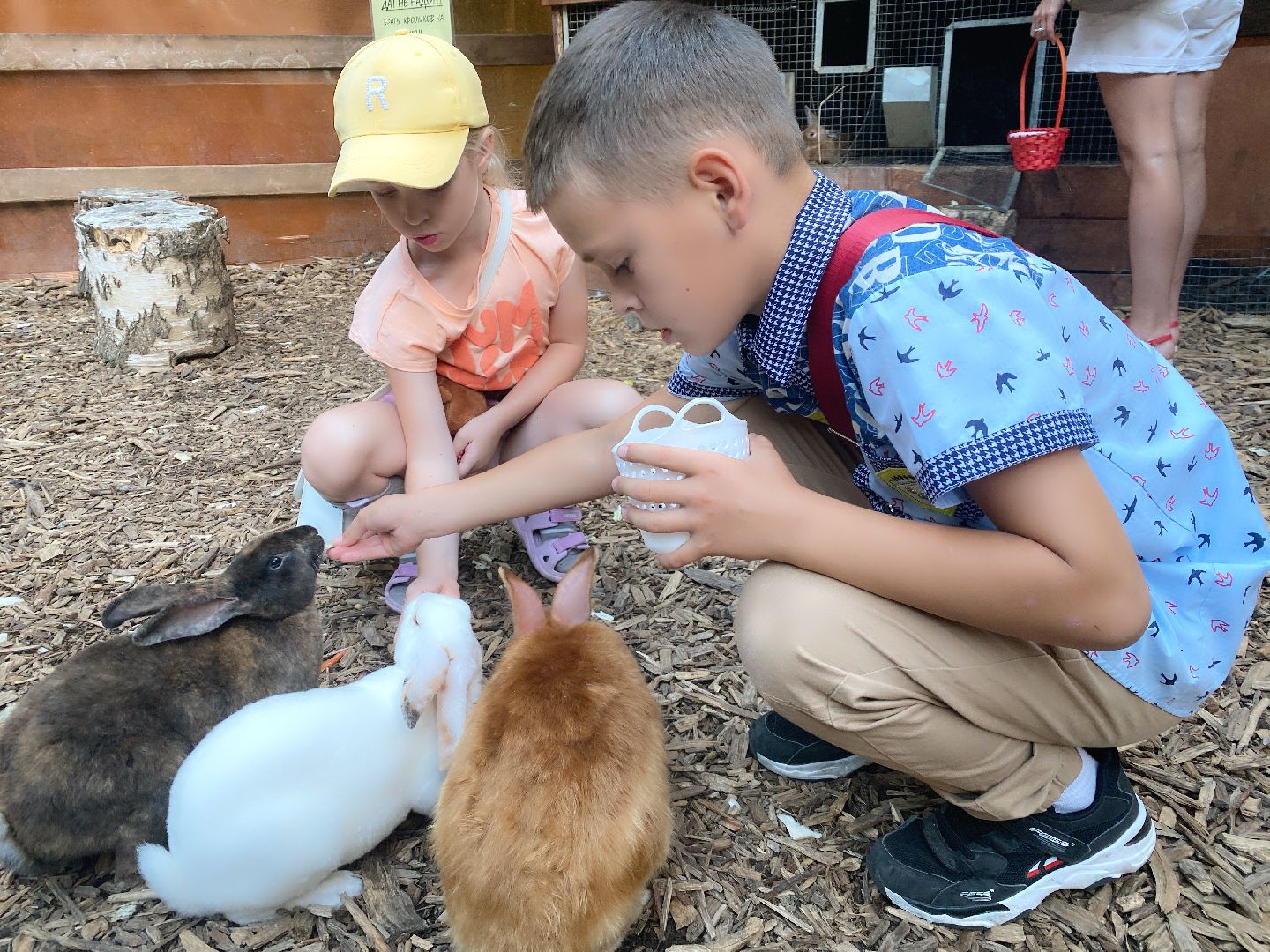 домодедово, Подмосковье, Ночь в парке, культура для школьников, Общество, парки домодедово, Парк Елочки, парки подмосковья,