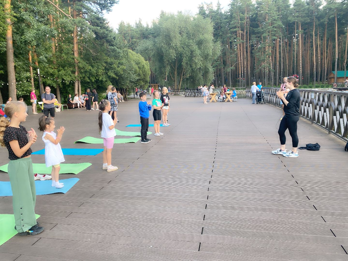 домодедово, Подмосковье, Ночь в парке, культура для школьников, Общество, парки домодедово, Парк Елочки, парки подмосковья,