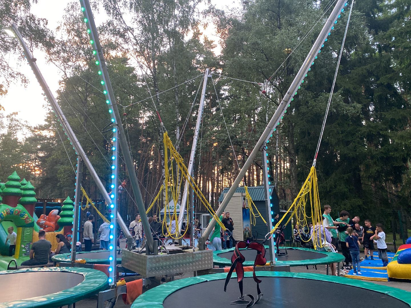 домодедово, Подмосковье, Ночь в парке, культура для школьников, Общество, парки домодедово, Парк Елочки, парки подмосковья,