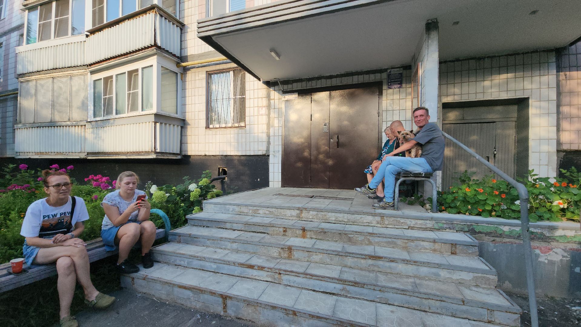 Зоозащитники, Кошки, Коты, Спасение, Лобня,