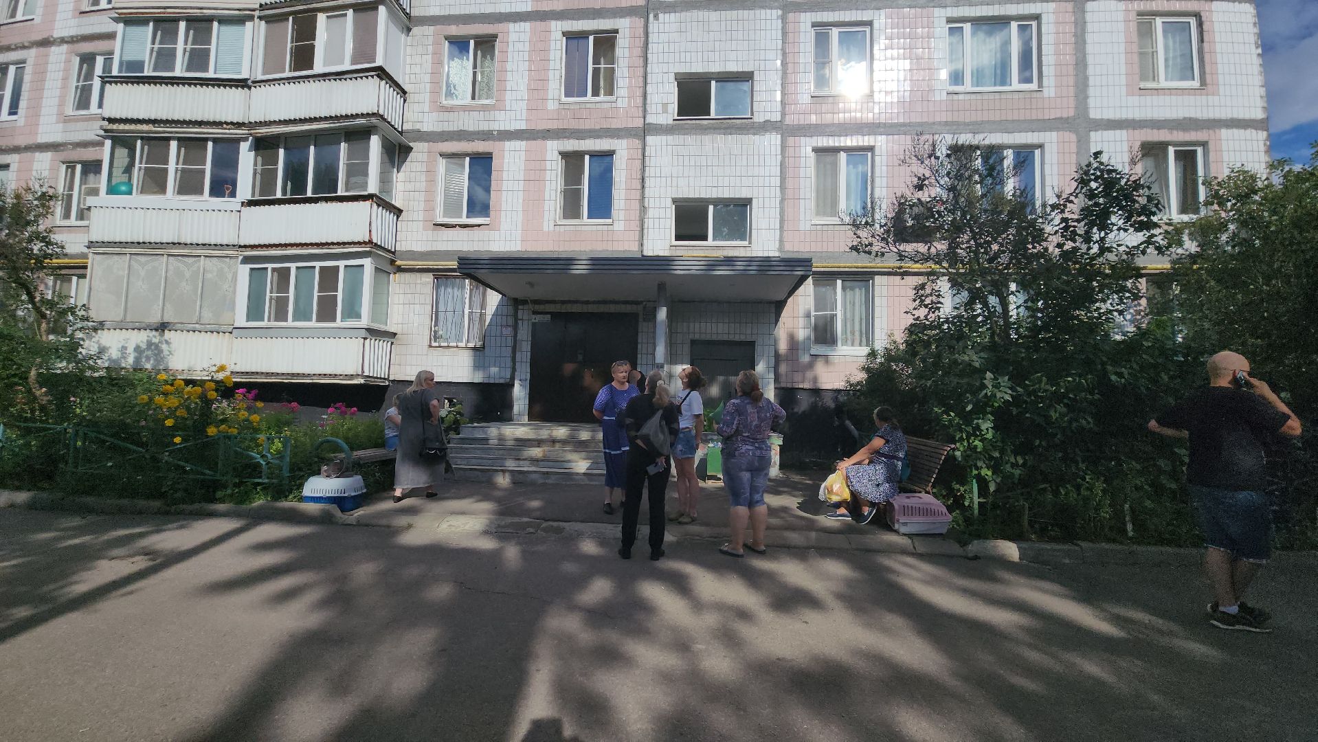 Зоозащитники, Кошки, Коты, Спасение, Лобня,