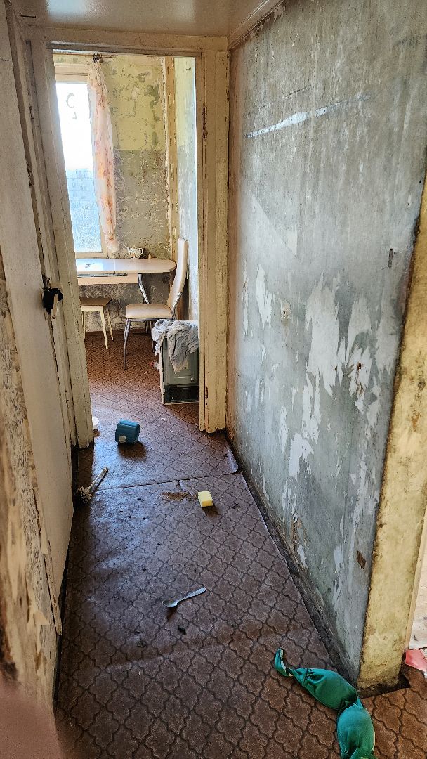 Зоозащитники, Кошки, Коты, Спасение, Лобня,