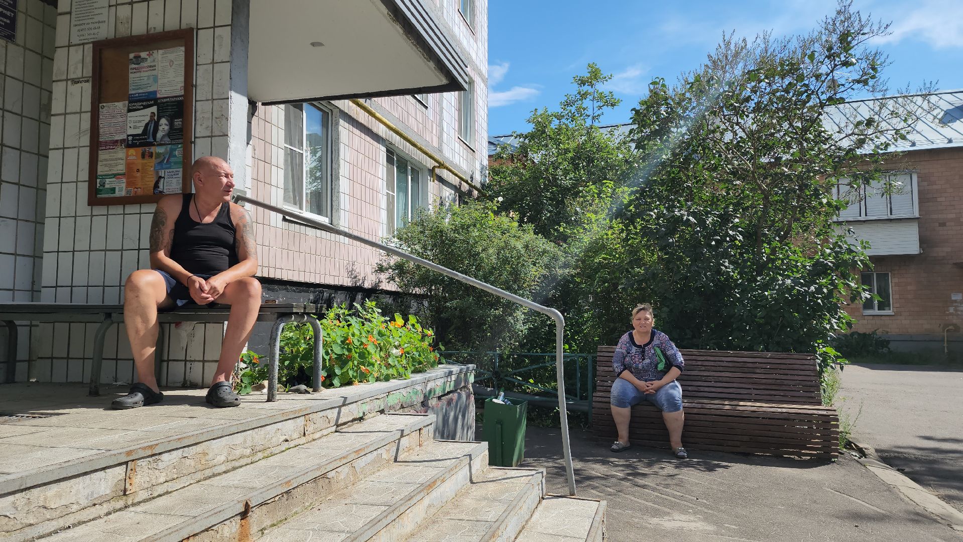 Зоозащитники, Кошки, Коты, Спасение, Лобня,