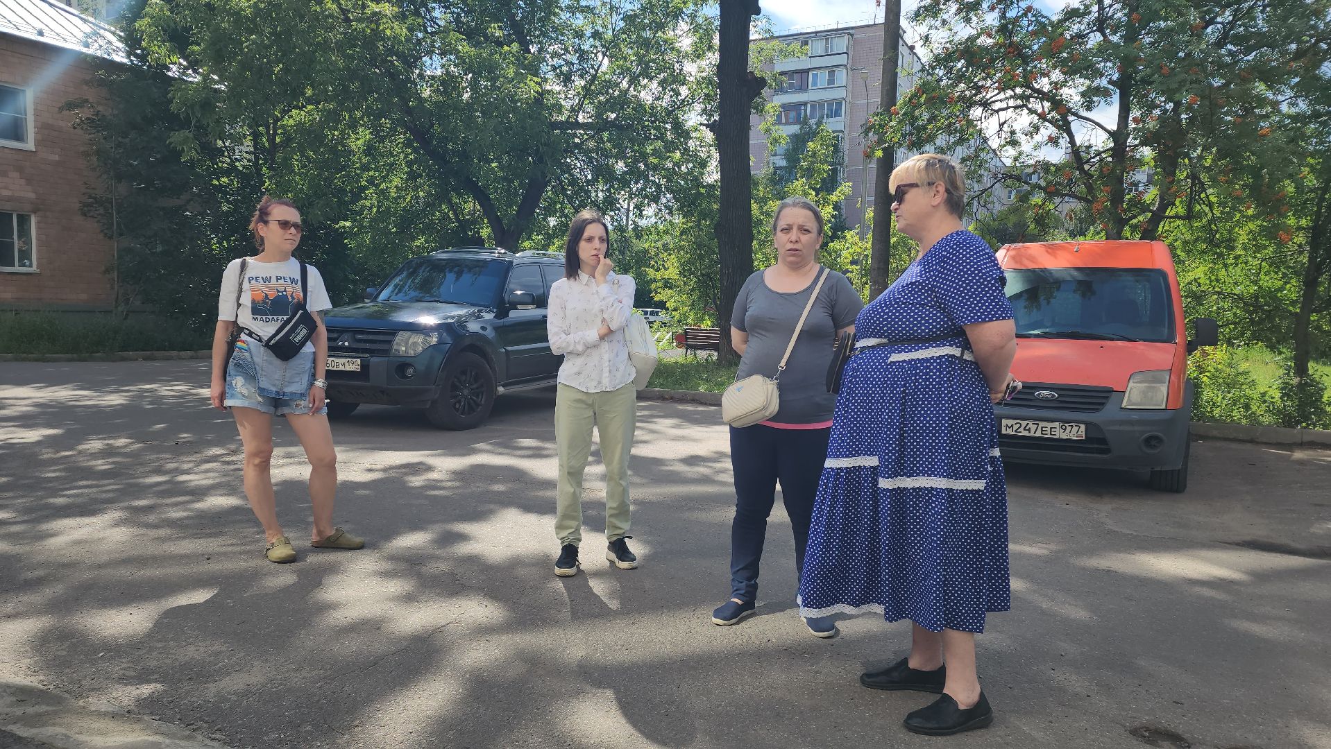 Зоозащитники, Кошки, Коты, Спасение, Лобня,