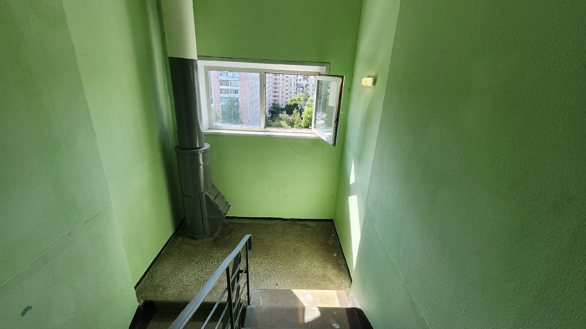 Зоозащитники, Кошки, Коты, Спасение, Лобня,