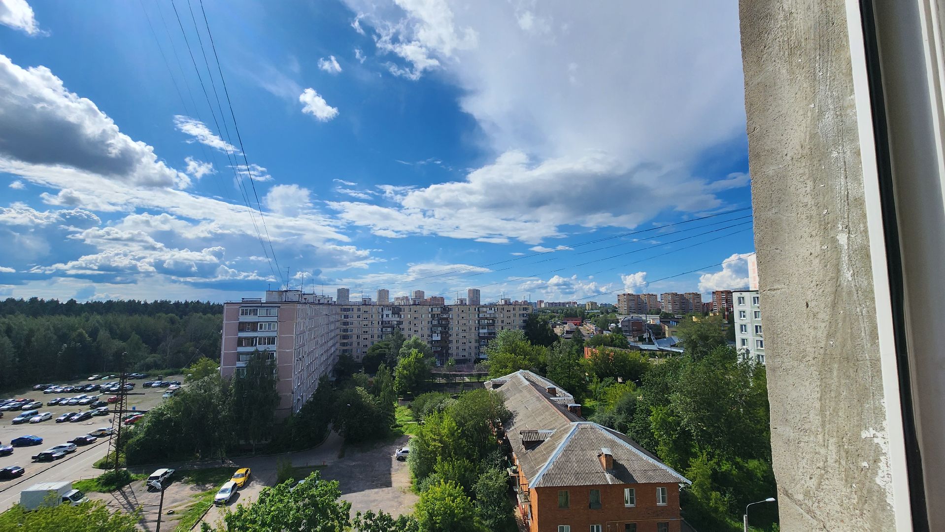 Зоозащитники, Кошки, Коты, Спасение, Лобня,