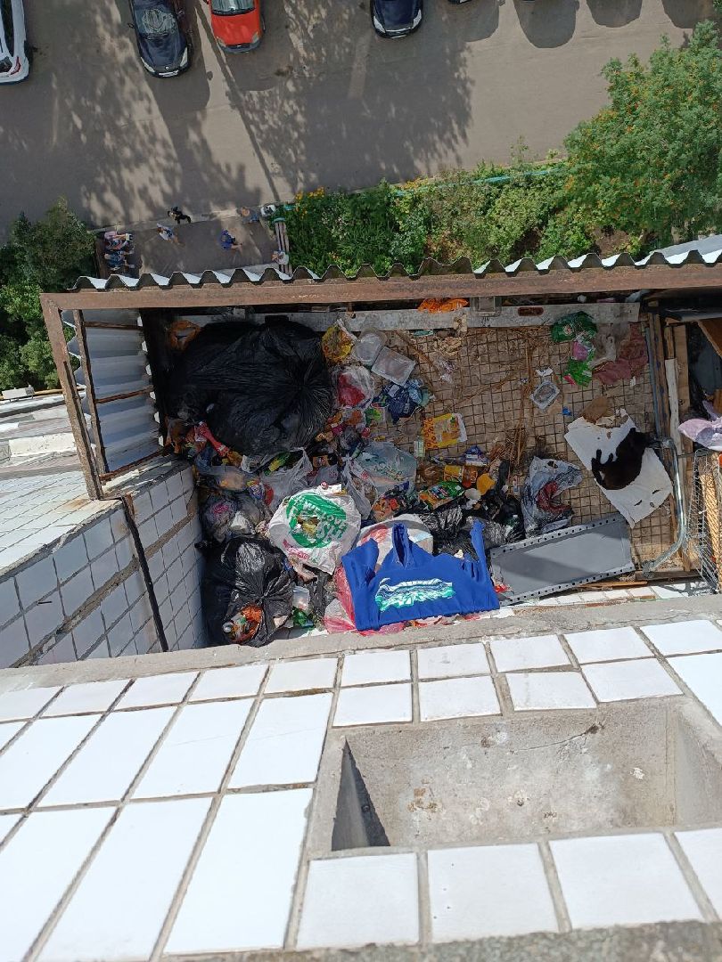 Зоозащитники, Кошки, Коты, Спасение, Лобня,