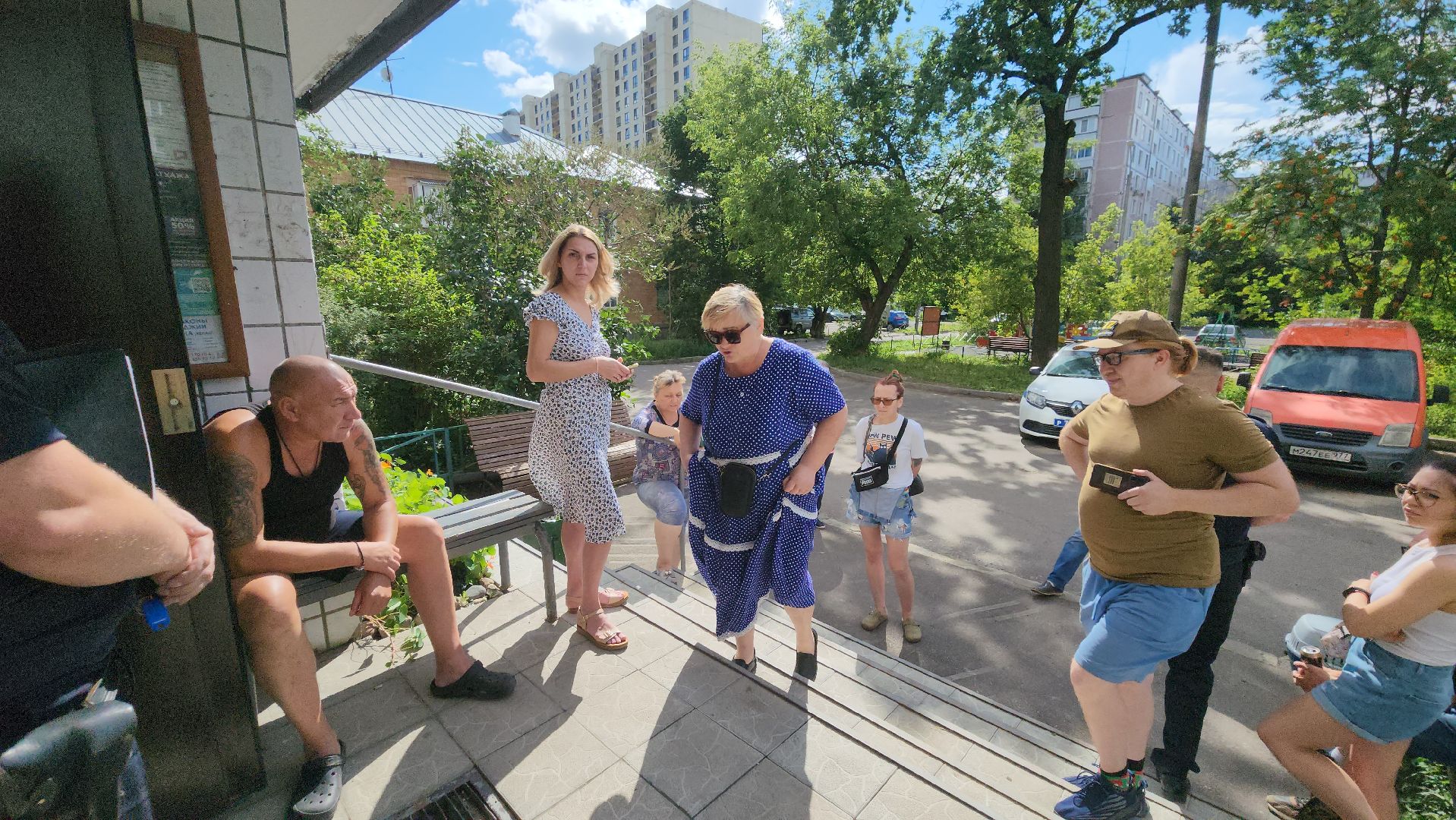 Зоозащитники, Кошки, Коты, Спасение, Лобня,