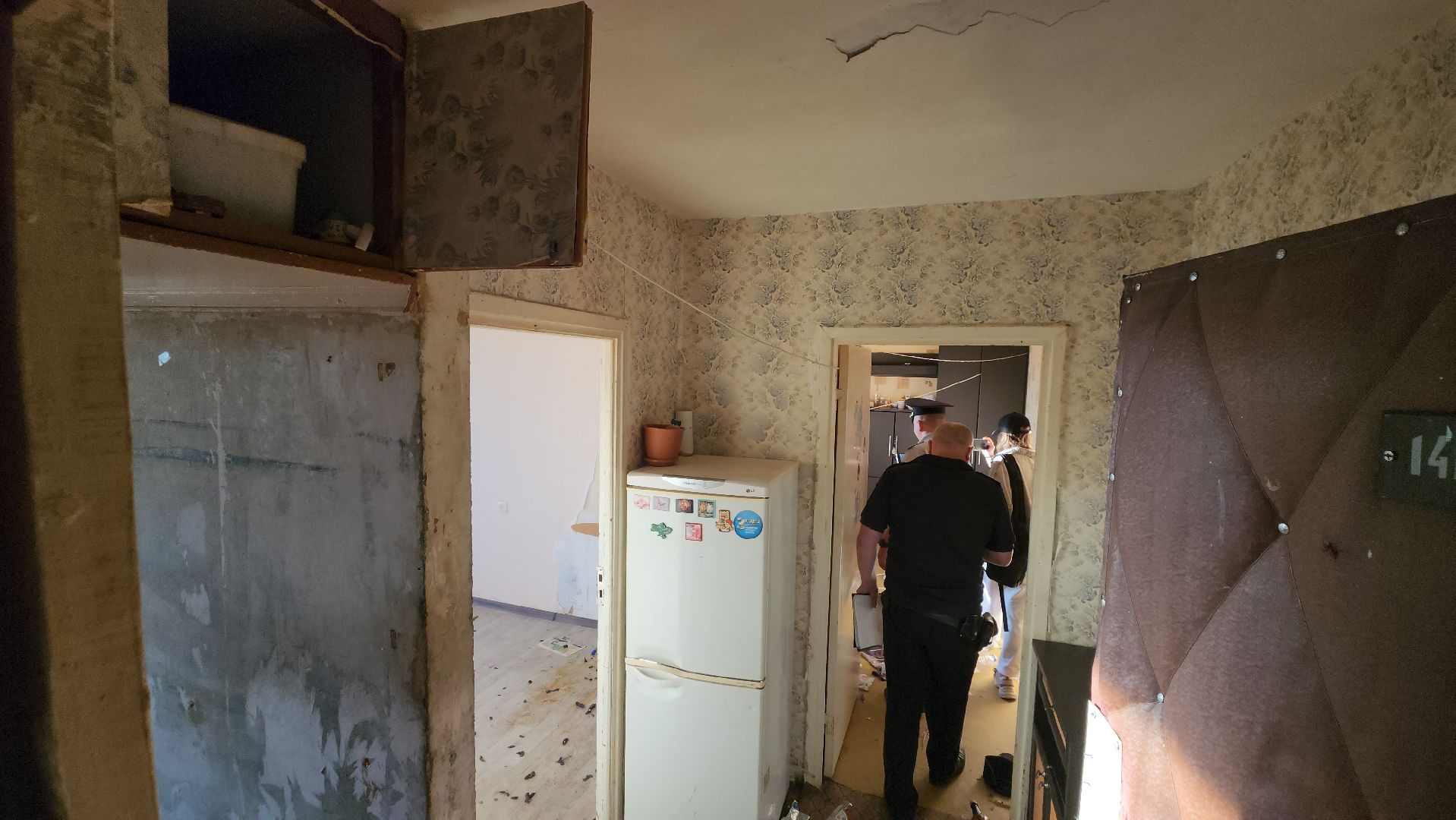 Зоозащитники, Кошки, Коты, Спасение, Лобня,