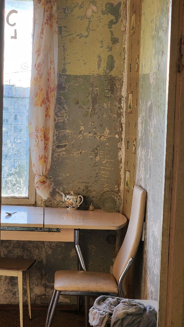 Зоозащитники, Кошки, Коты, Спасение, Лобня,