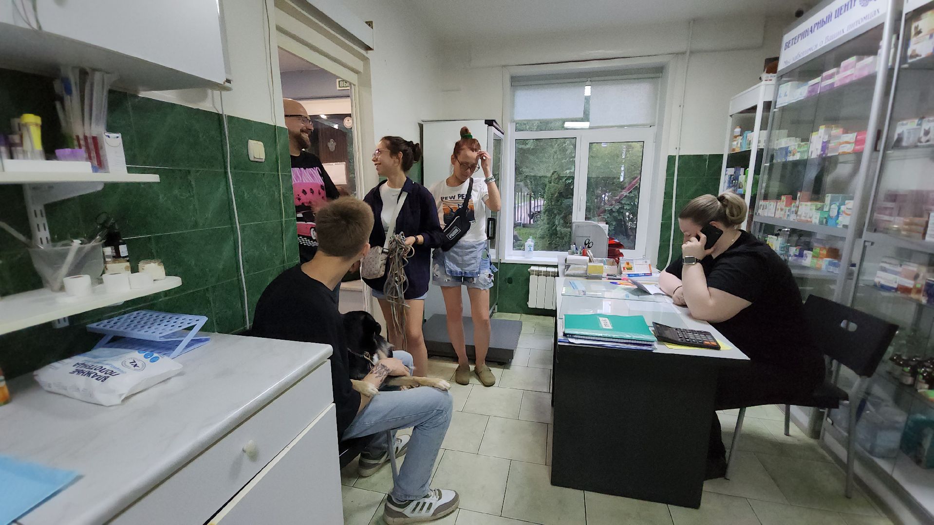 Животные, Лобня, волонтеры,