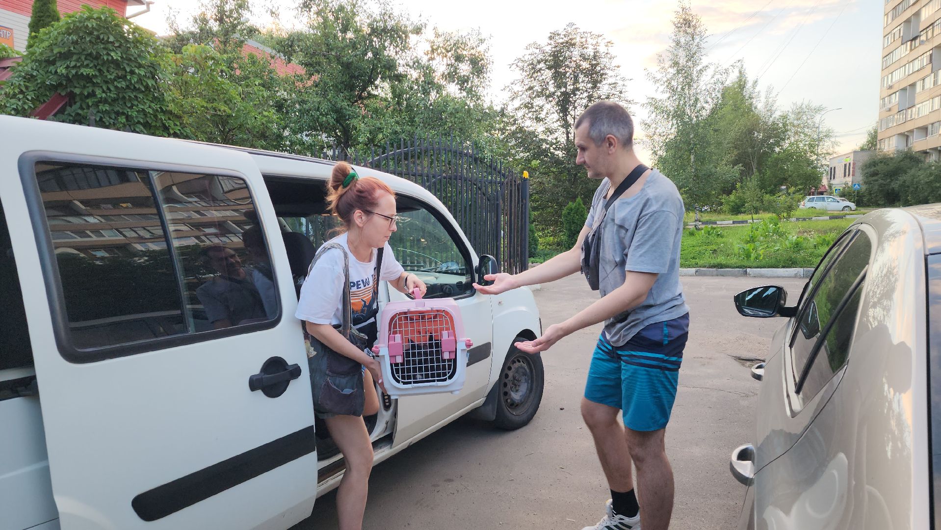 Животные, Лобня, волонтеры,