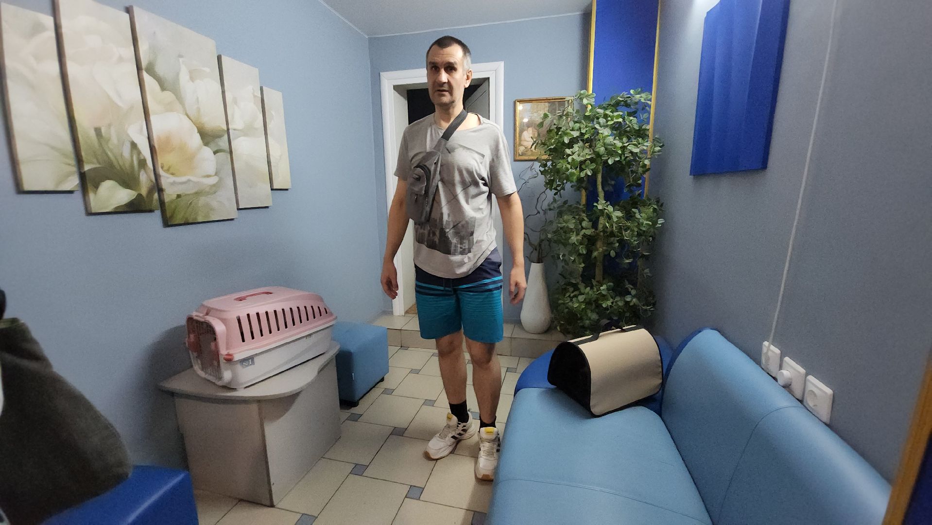 Животные, Лобня, волонтеры,