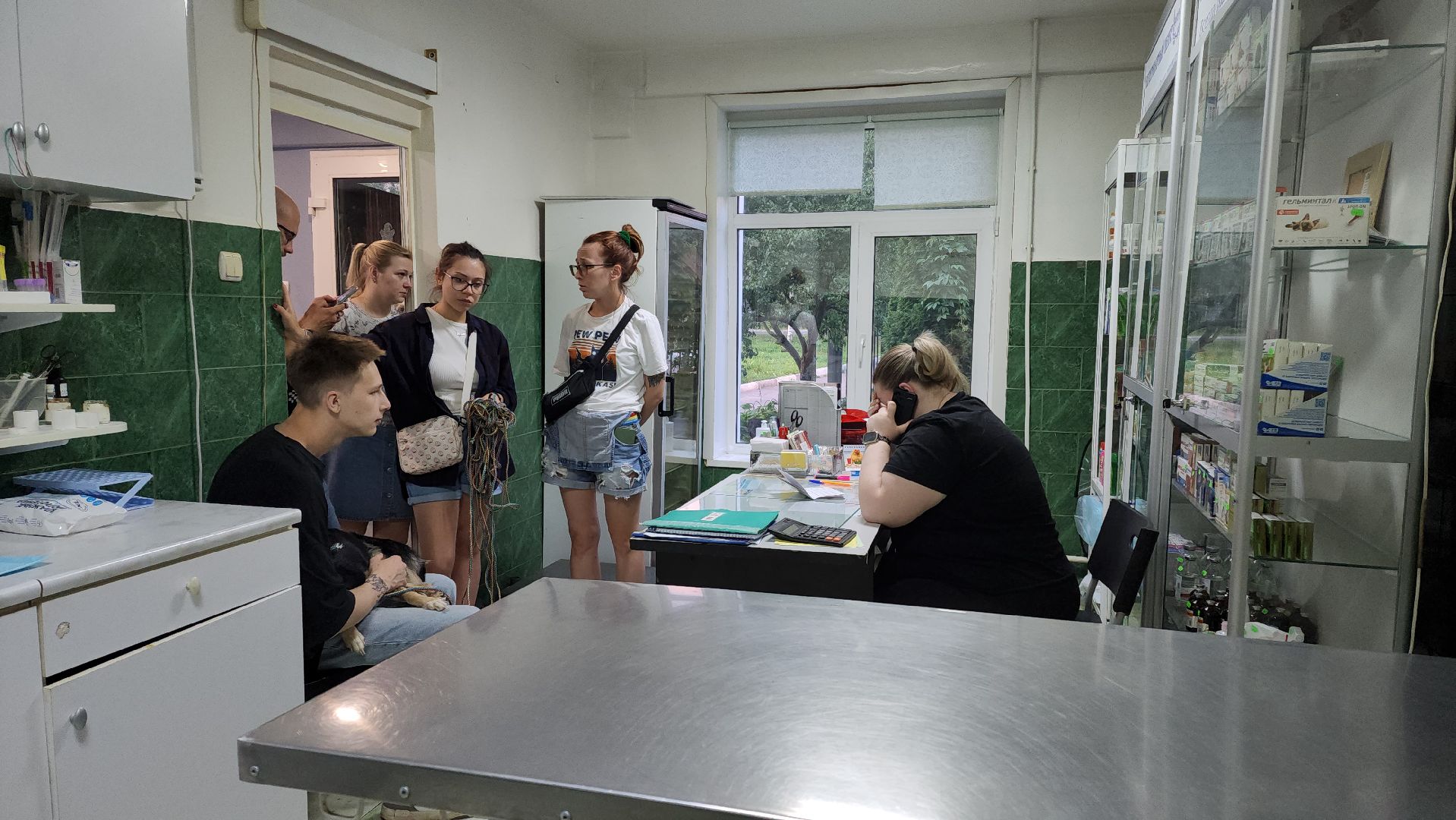 Животные, Лобня, волонтеры,