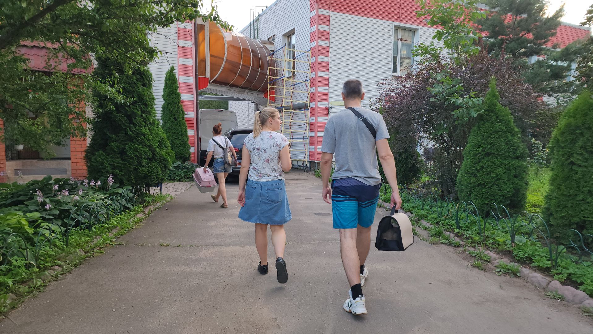 Животные, Лобня, волонтеры,