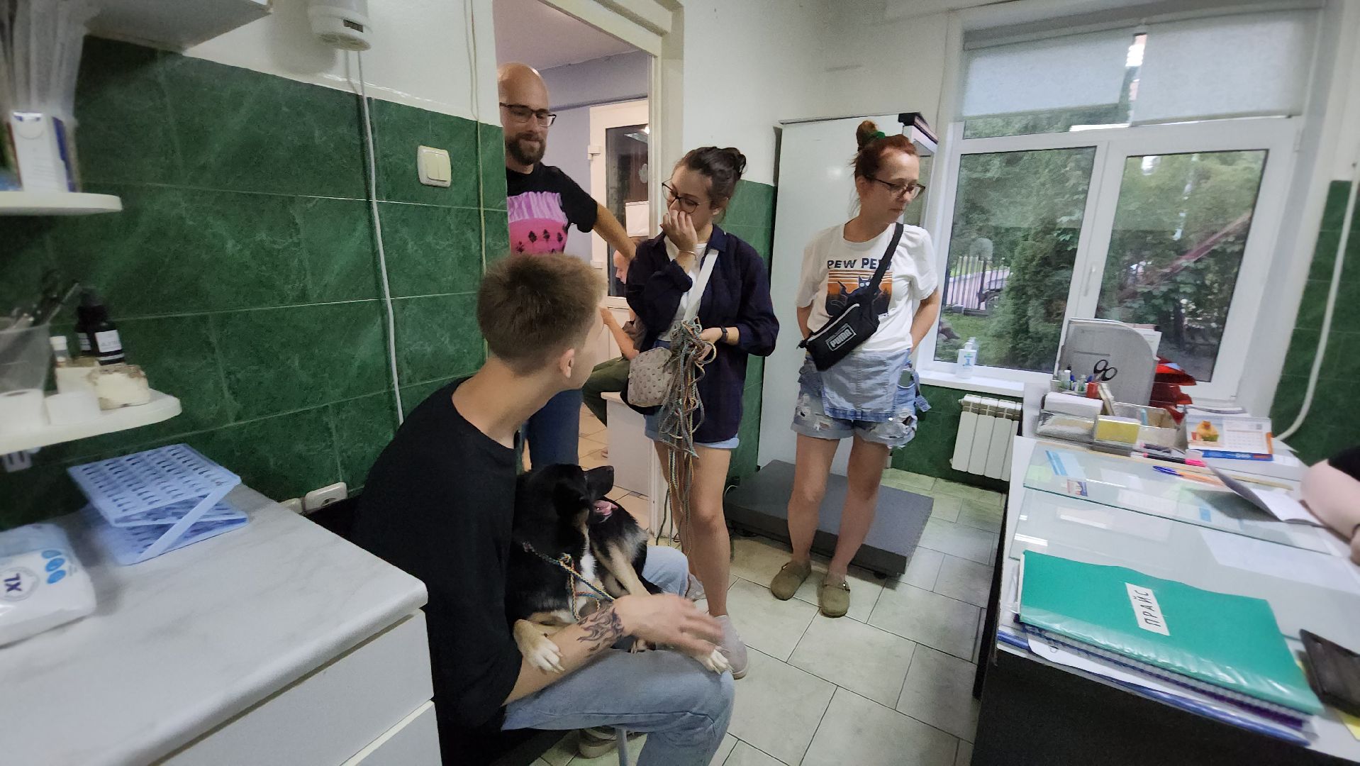 Животные, Лобня, волонтеры,