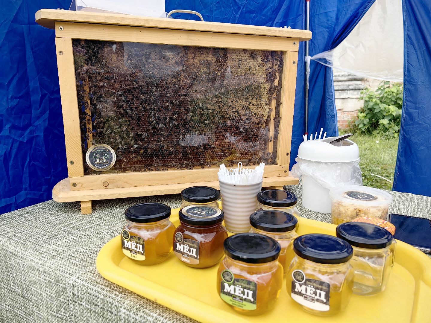 щёлково, фермеры, еда, ярмарки,