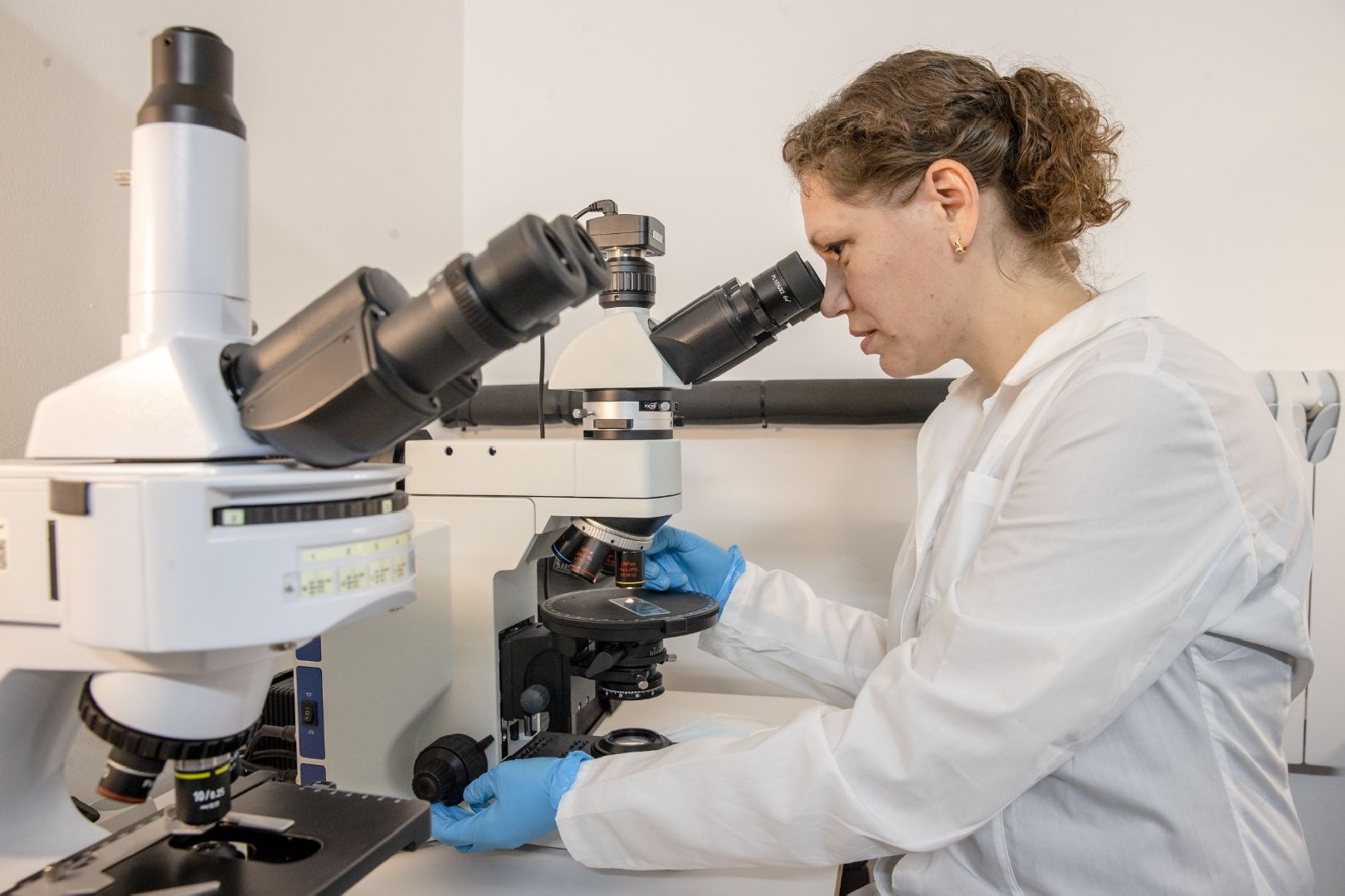 постдок программа, ОИЯИ, наука, Дубна