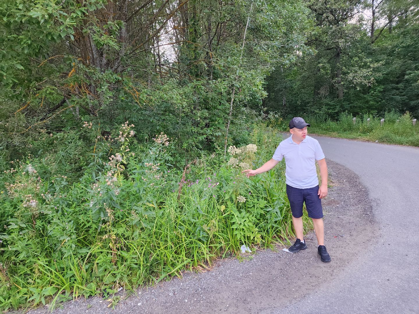 Чехов, село Дубна, выездная администрация, благоустройство, зона отдыха, лесопарк, глава администрации го Чехов Михаил Собакин,