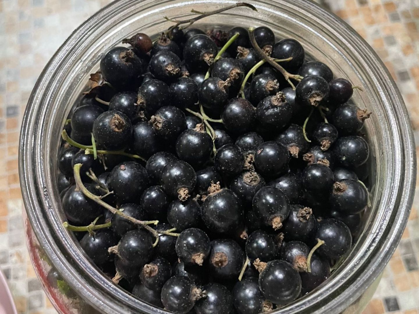 Звенигород, Туризм, культура и туризм в подмосковье,