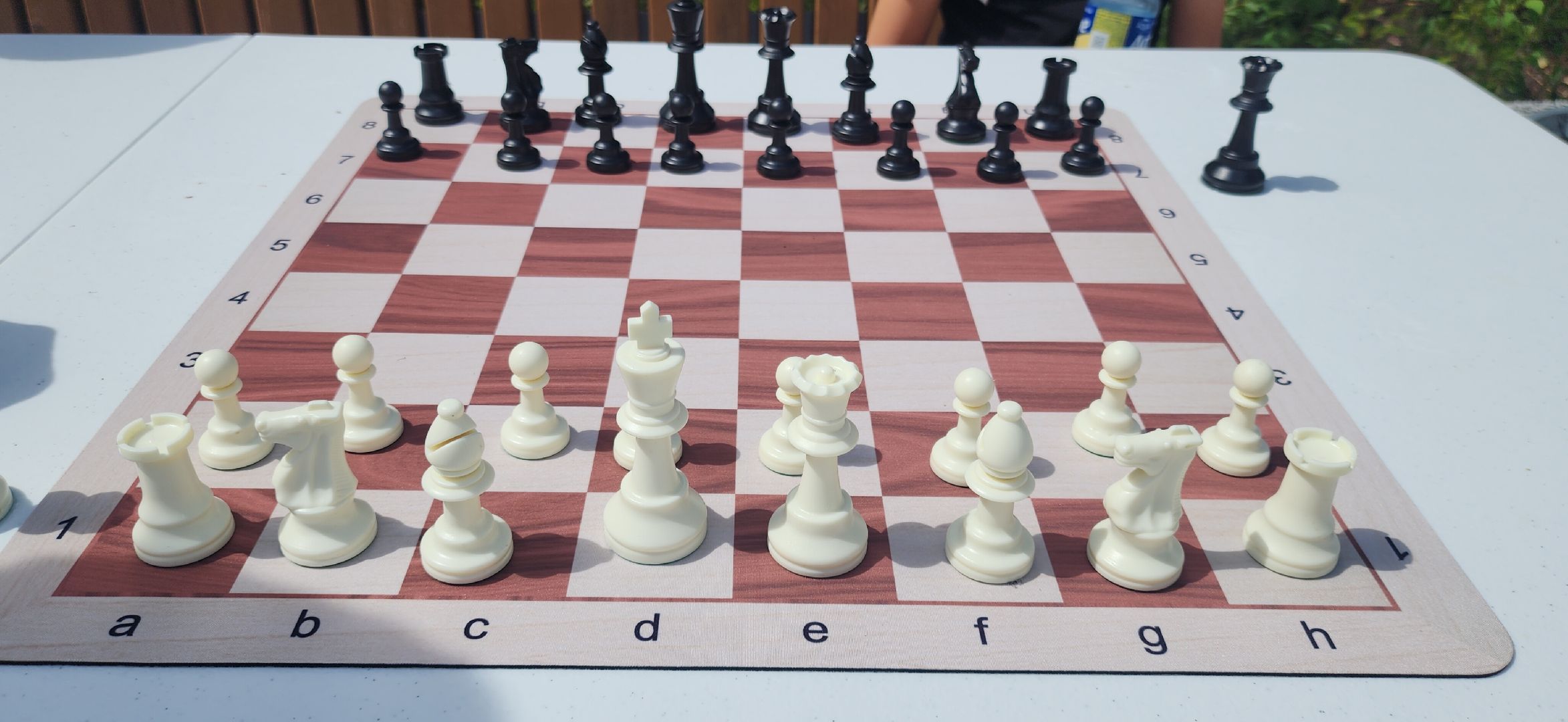 Звенигород, Спорт, Шахматы,