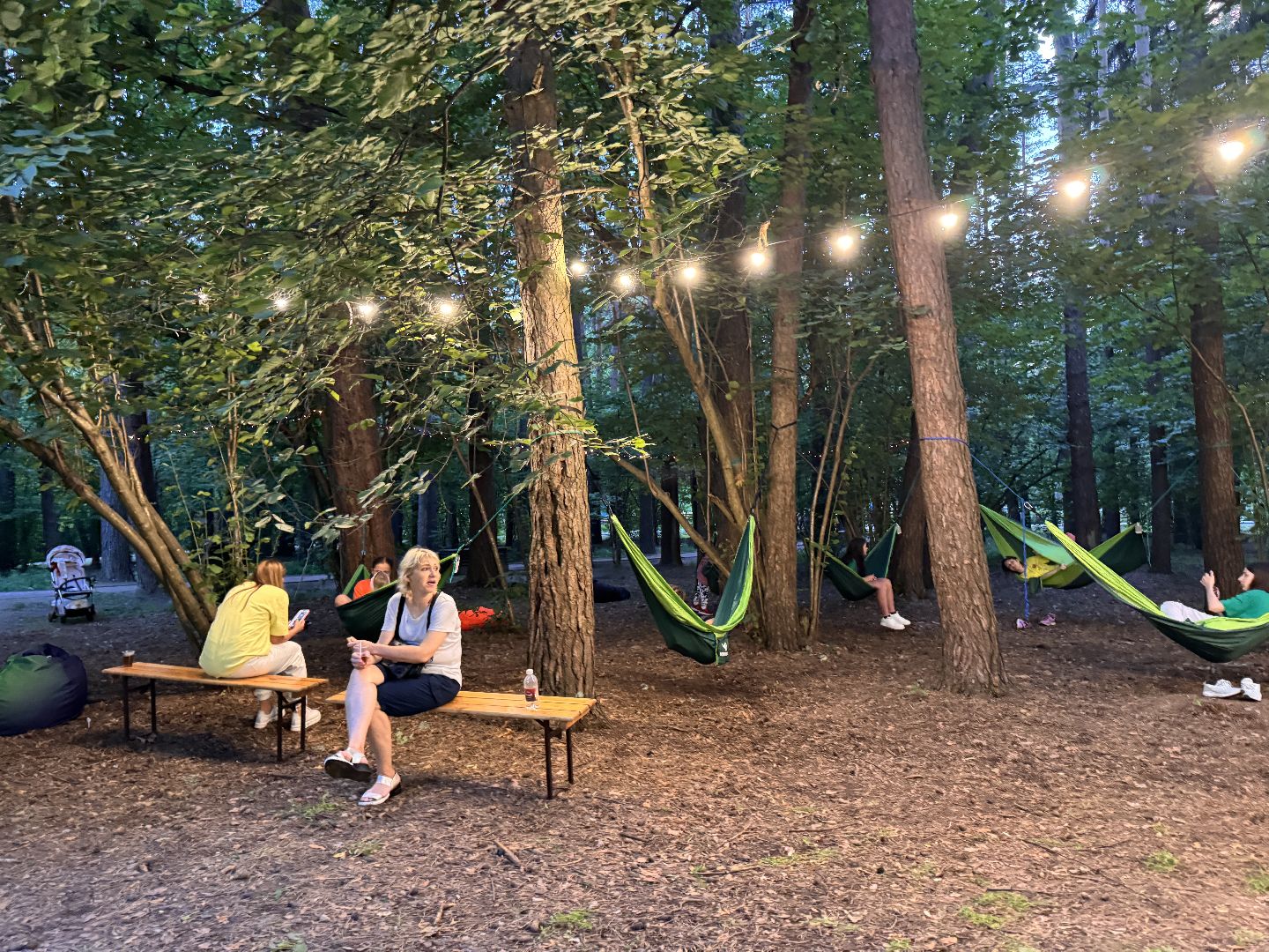 Ночь в парке, Одинцовский парк культуры спорта и отдыха, культура подмосковья, парки подмосковья,