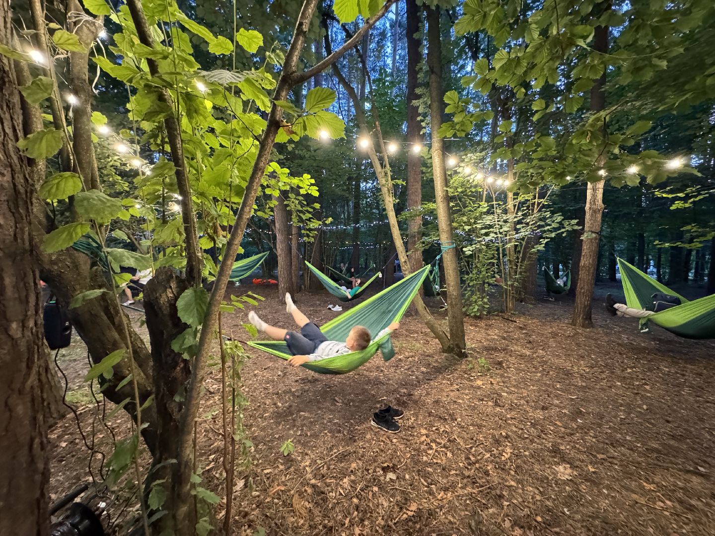 Ночь в парке, Одинцовский парк культуры спорта и отдыха, культура подмосковья, парки подмосковья,