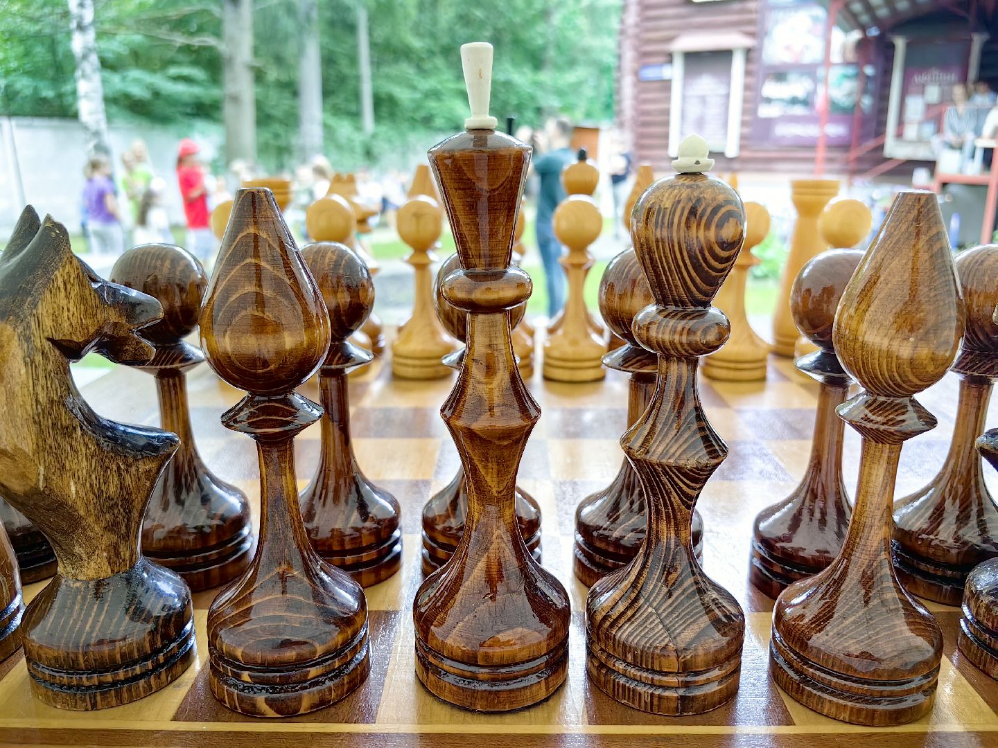 шахматы, турнир, мастер класс, оригами, игра, щёлково,