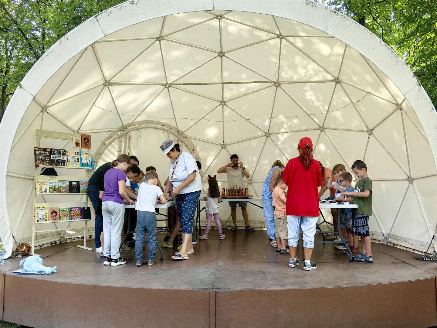 шахматы, турнир, мастер класс, оригами, игра, щёлково,