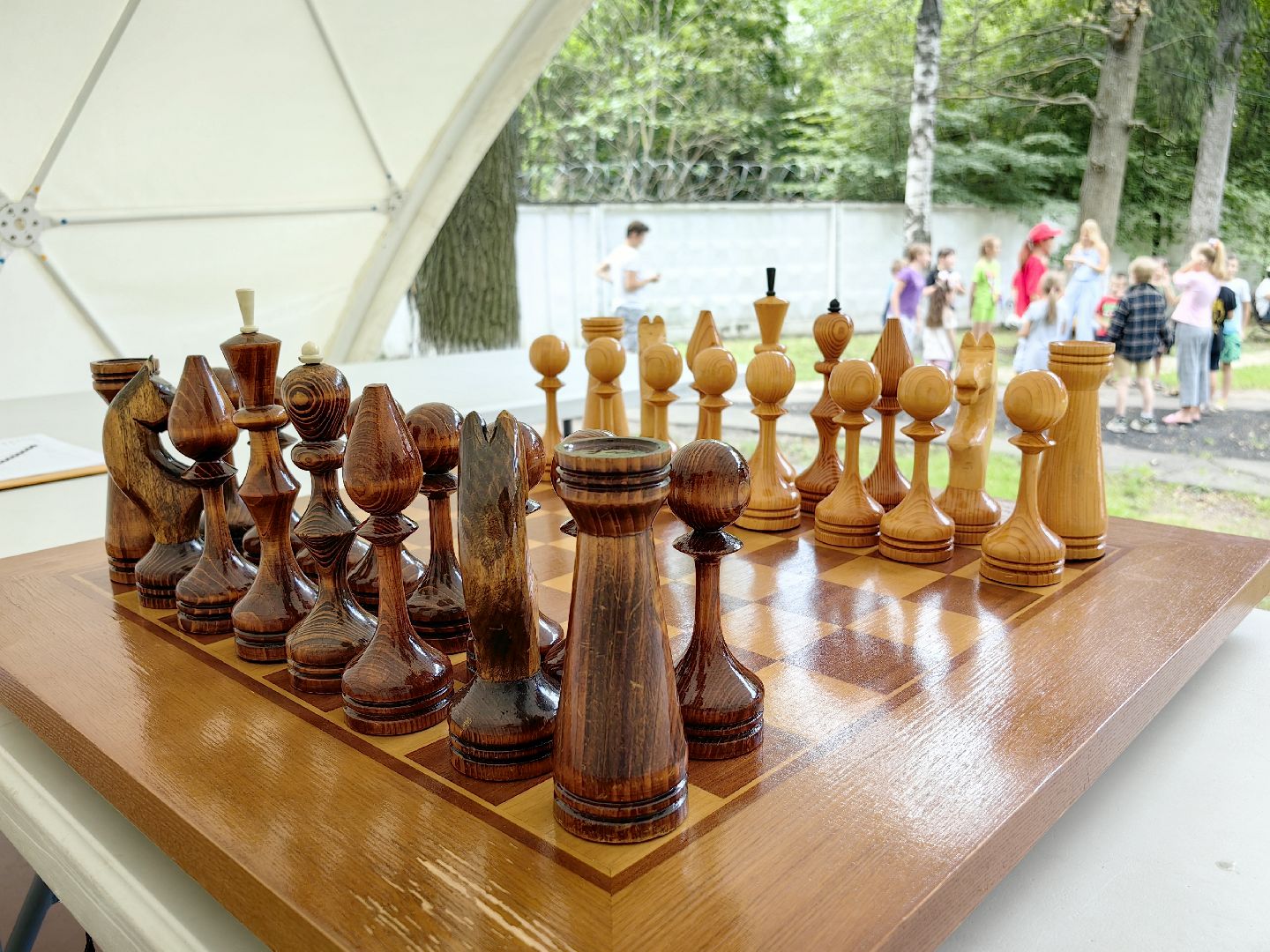 шахматы, турнир, мастер класс, оригами, игра, щёлково,